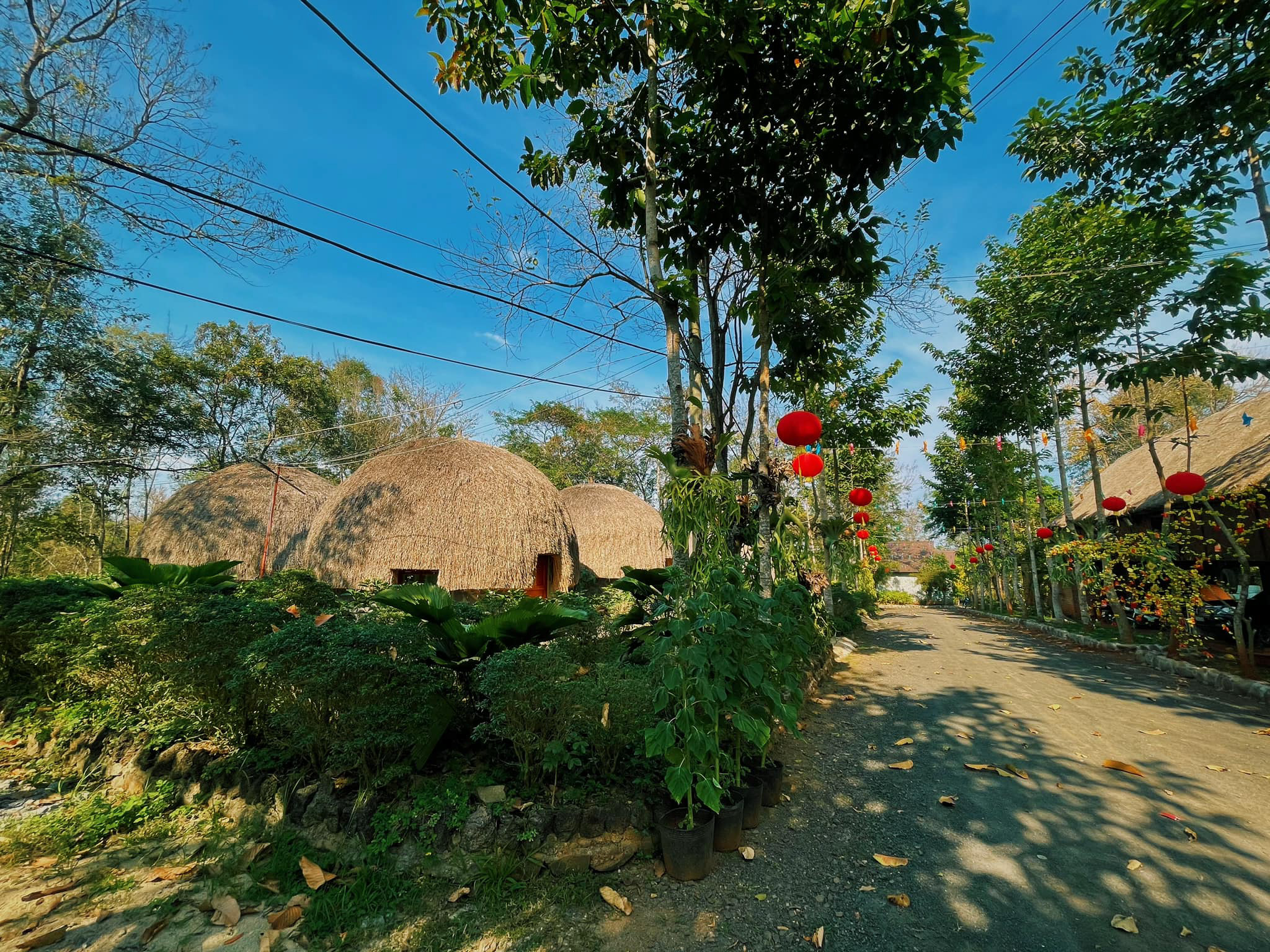 4200km_đi_về_nhà_2021_tinhte-2.jpg