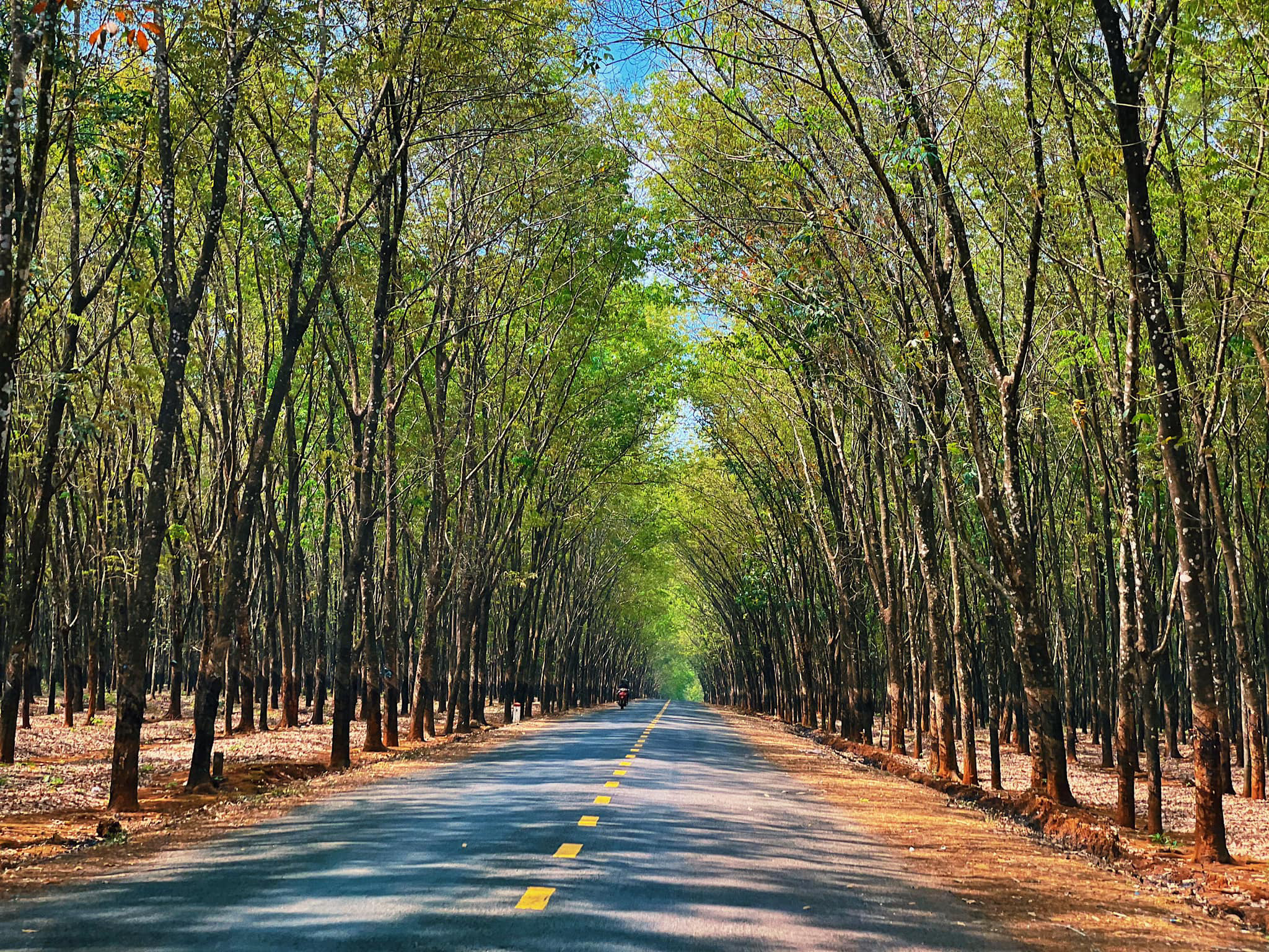 4200km_đi_về_nhà_2021_tinhte-10.jpg
