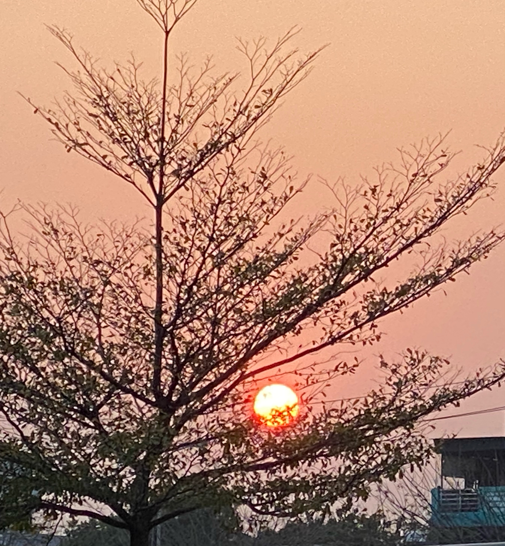 Nắng chiều hoàng hôn không bao giờ hết đẹp