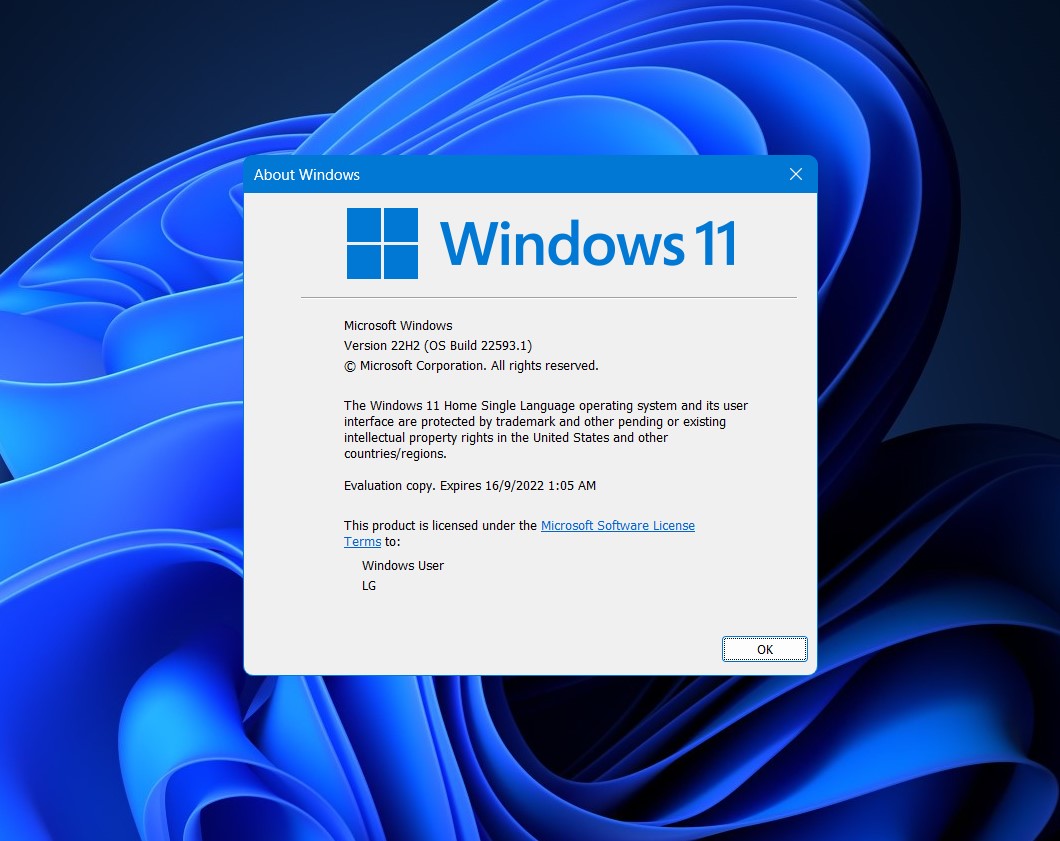 Winver Windows 11 (22H2).jpg