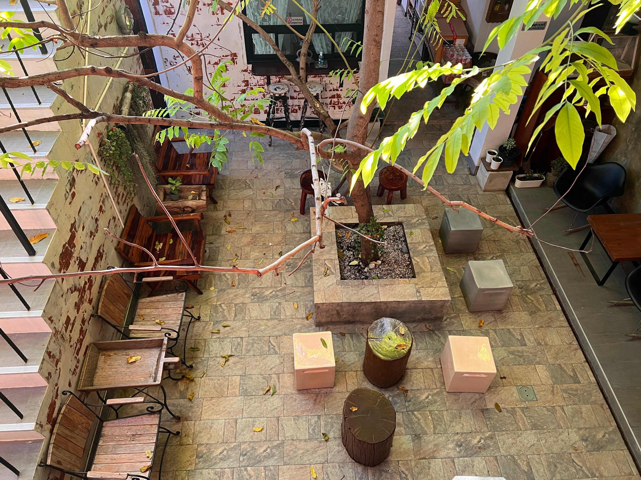 Srisanor garden.jpg