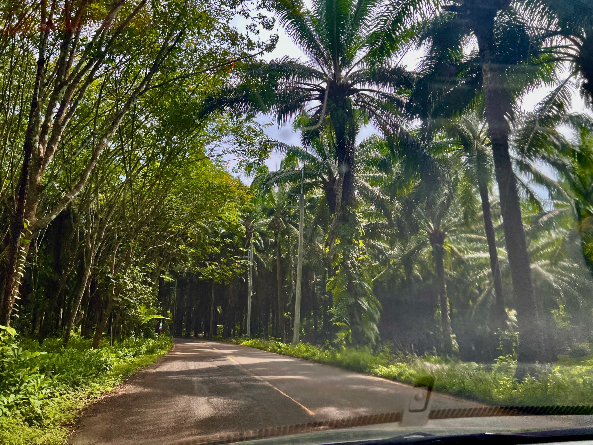 on the road.jpg