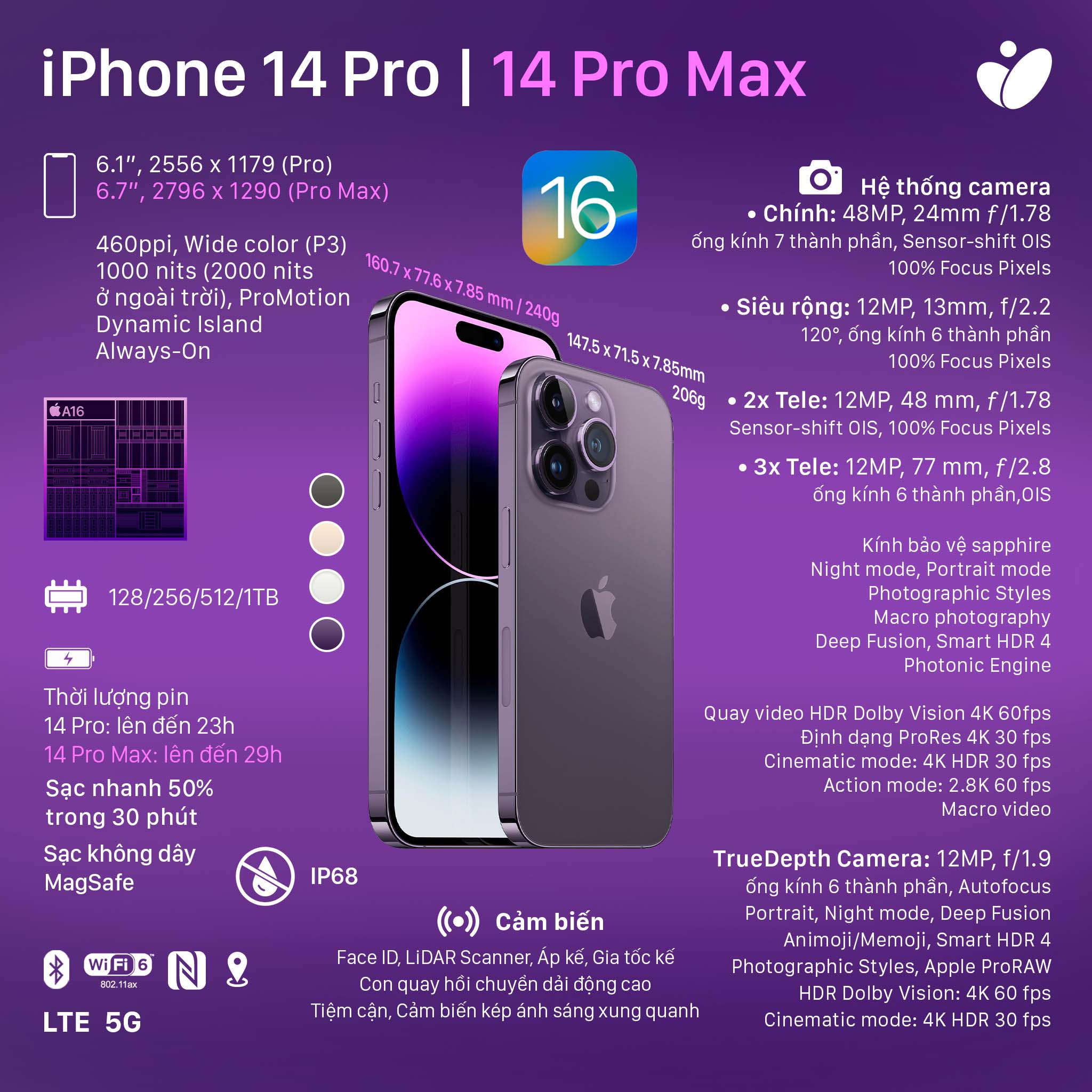 iPhone 14 pro_14 pro max.jpg