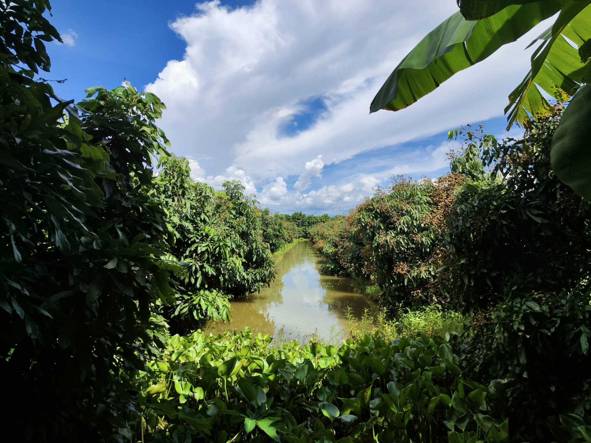 Trai_Nghiem_Mix_Fold_2-7.jpg