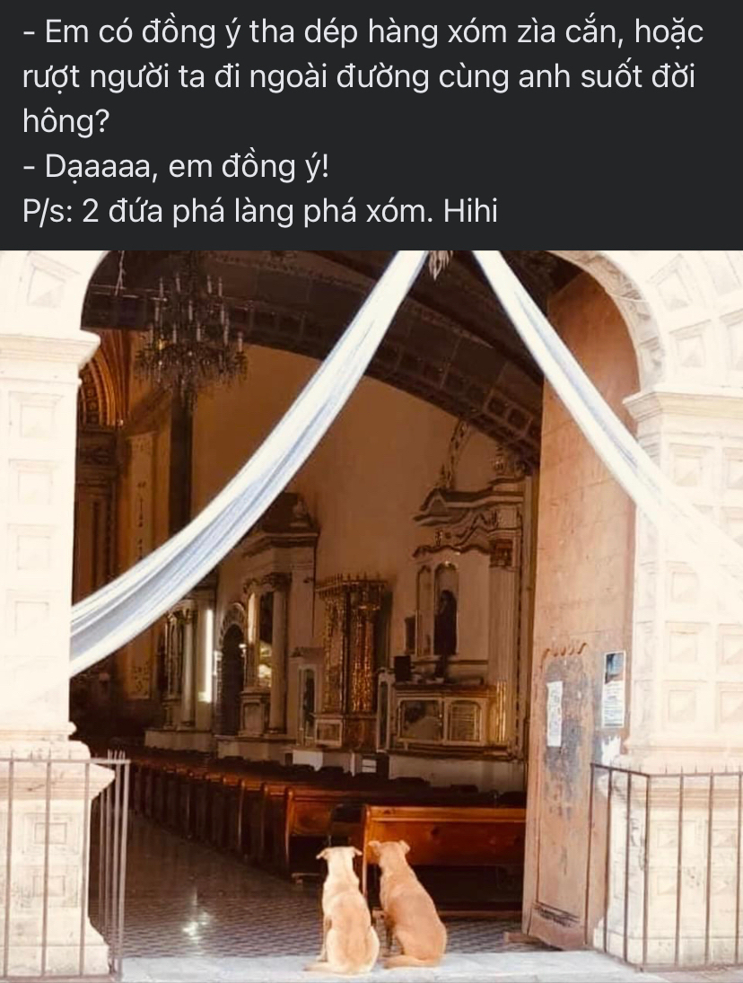Lúc trước bị mất có 1 chiếc, giờ thì mất cả đôi…à thì raaa | Viết bởi ...