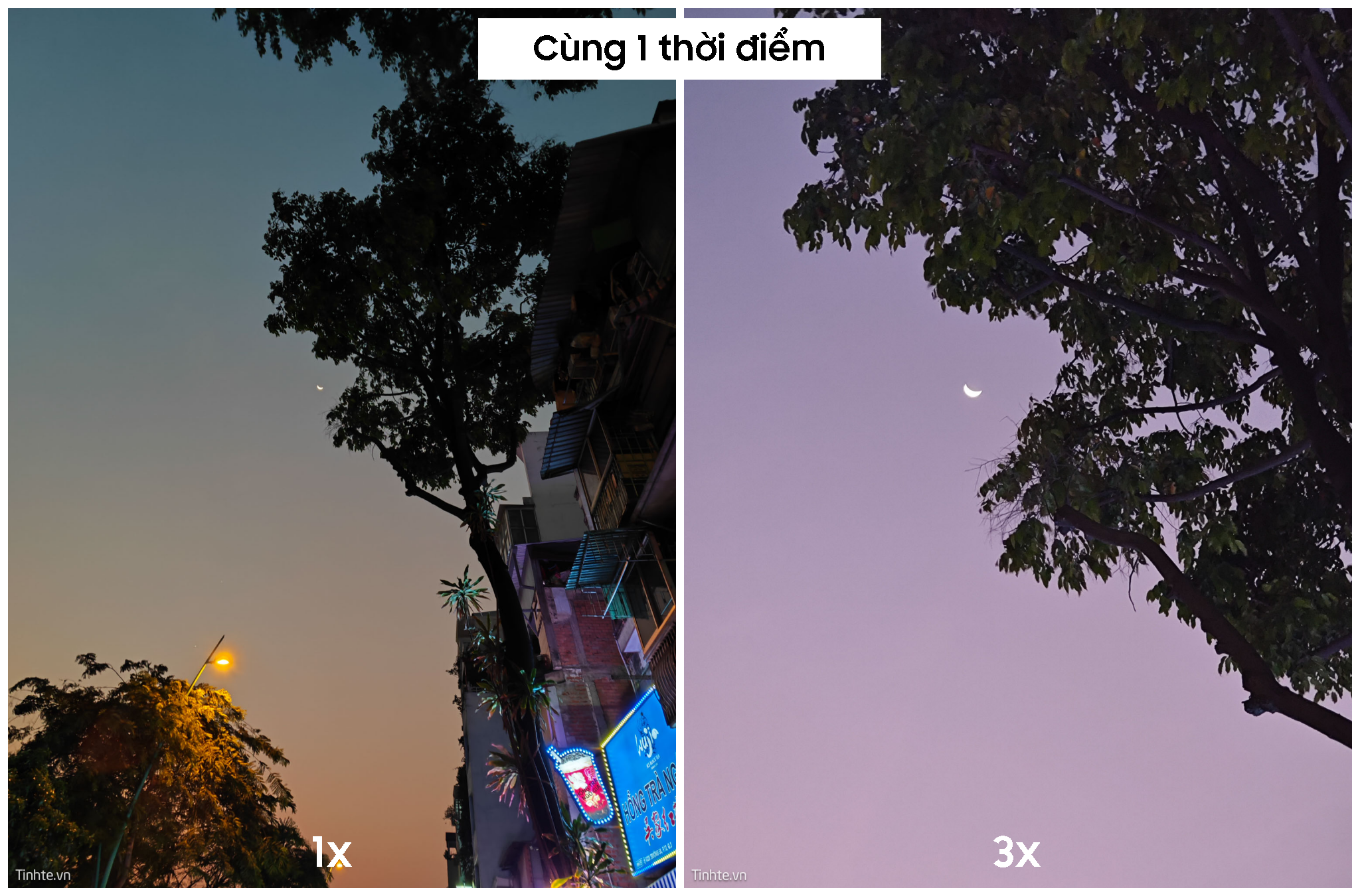 collage1.png