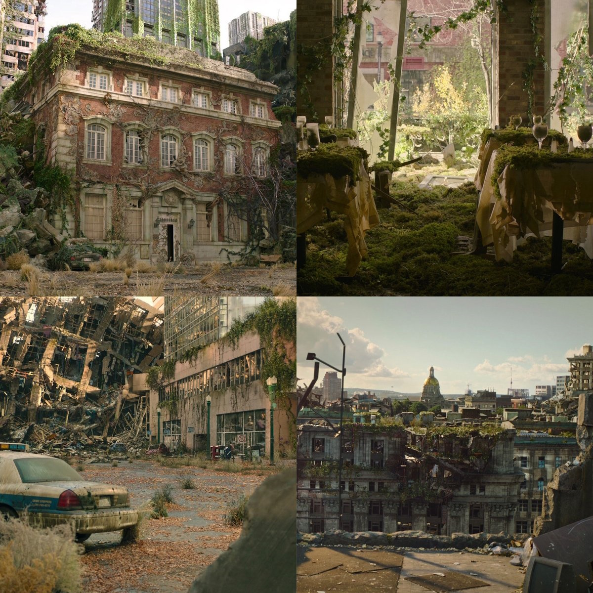 the last of us TV series 3.jpg