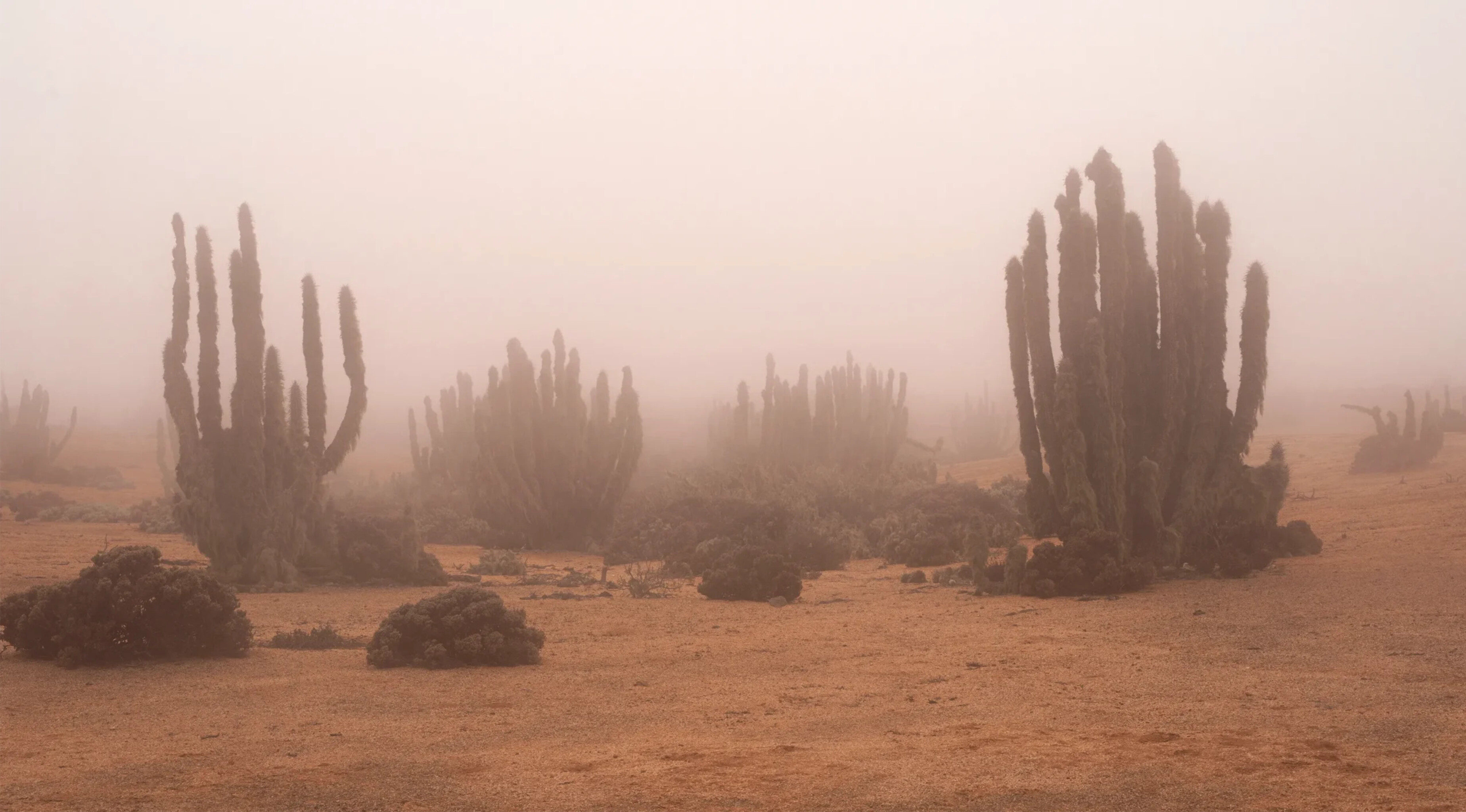 DesertFog-byZachSavitsky-scaled.jpg