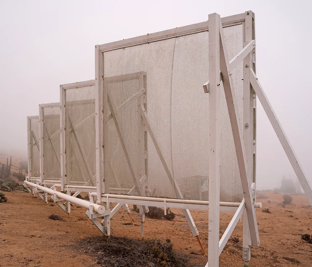 FogTraps-byZachSavitsky.jpg