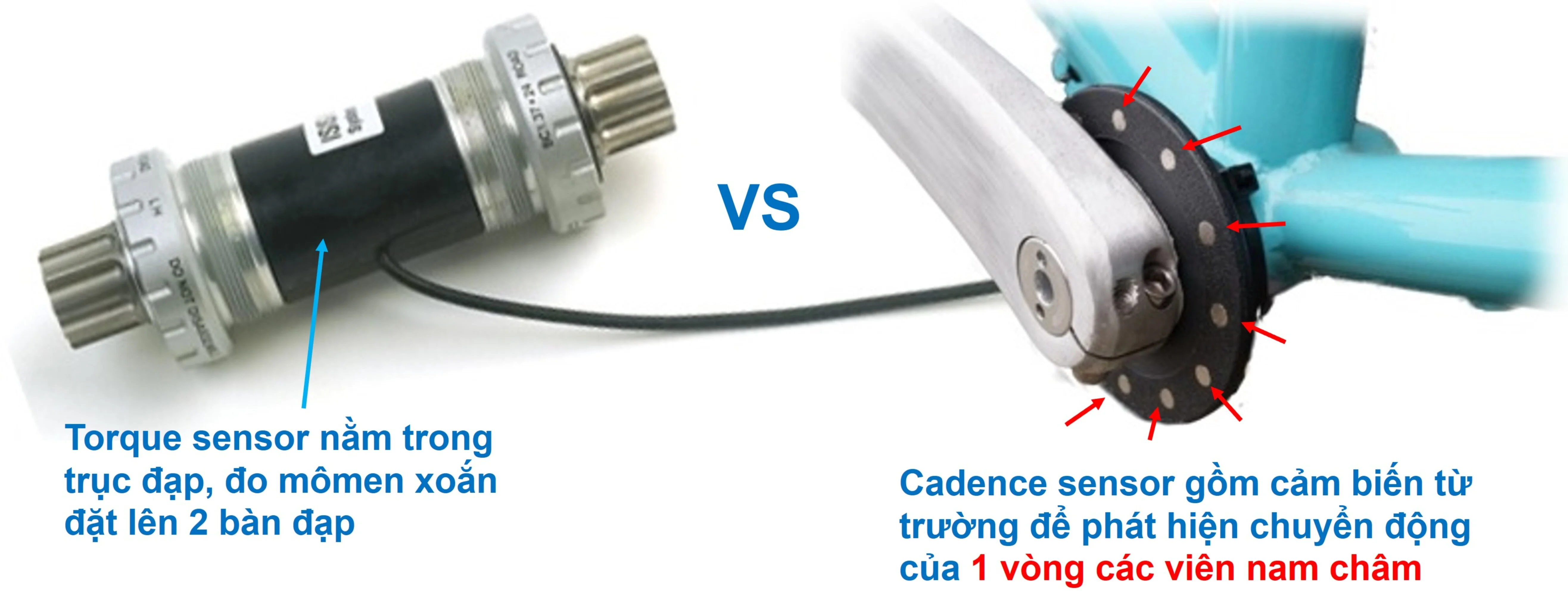 cadence vs torque.jpg