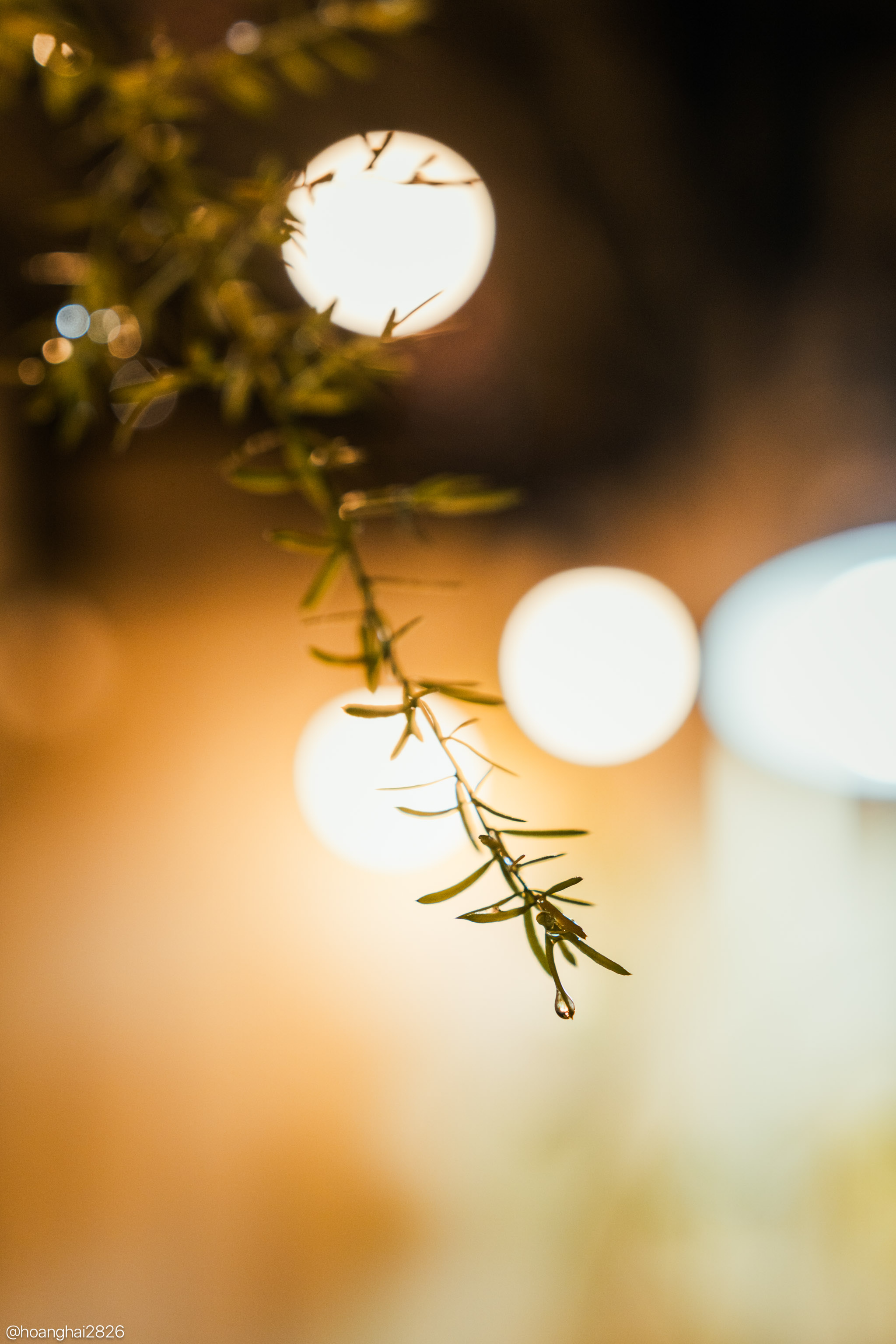 trai-nghiem-sony-a7cr-tinhte-15.jpg
