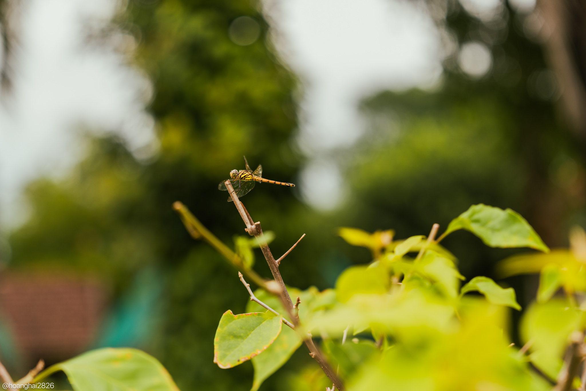 trai-nghiem-sony-a7cr-tinhte-31.jpg