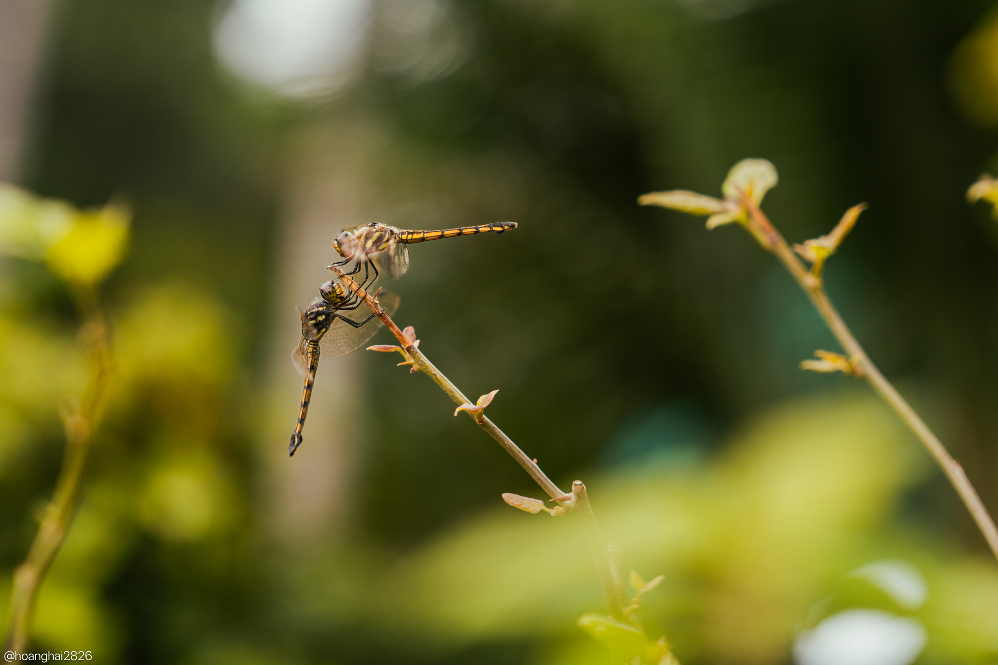 trai-nghiem-sony-a7cr-tinhte-29.jpg