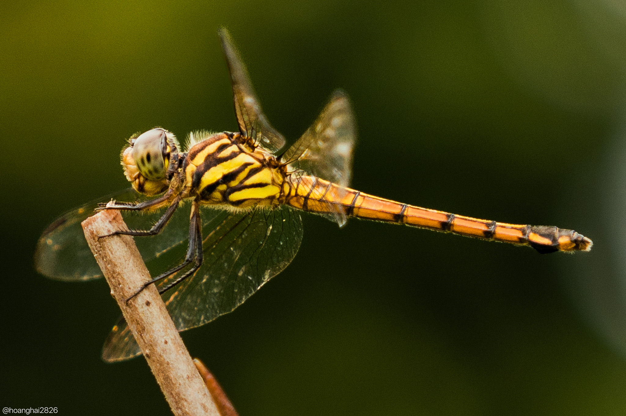 trai-nghiem-sony-a7cr-tinhte-78.jpg