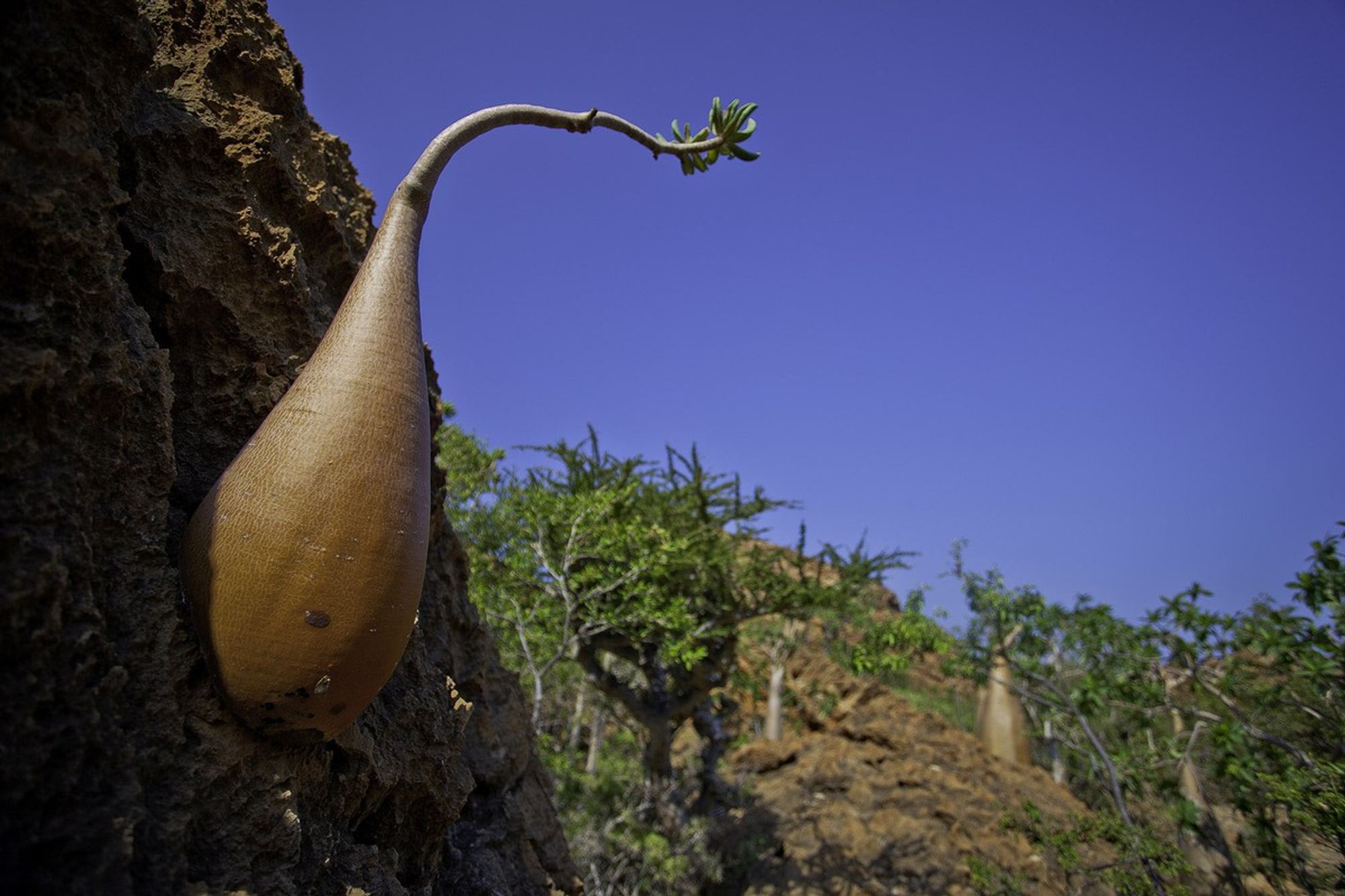 image (7).jpg