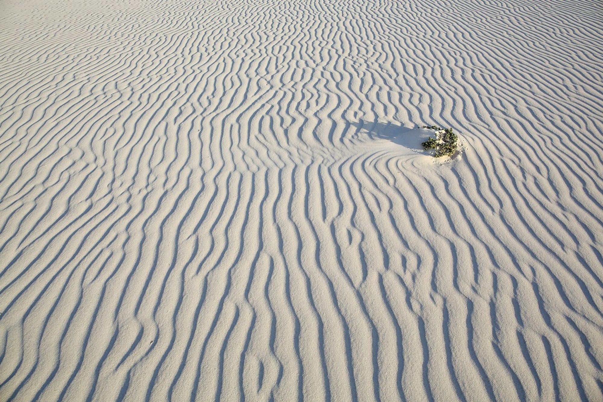 image (12).jpg