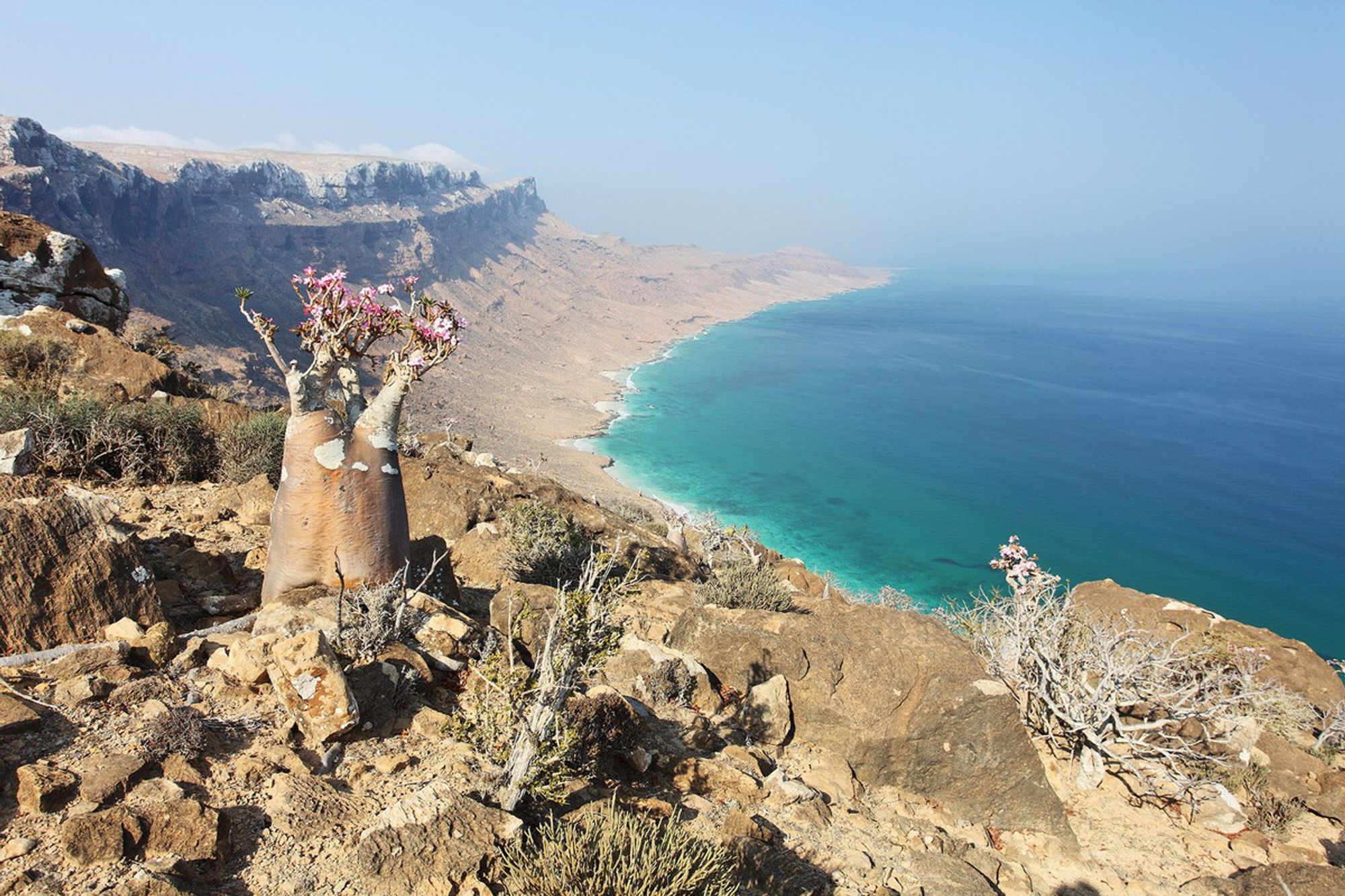 [Hình ảnh] Cảnh quan của hòn đảo Socotra ở Ả Rập