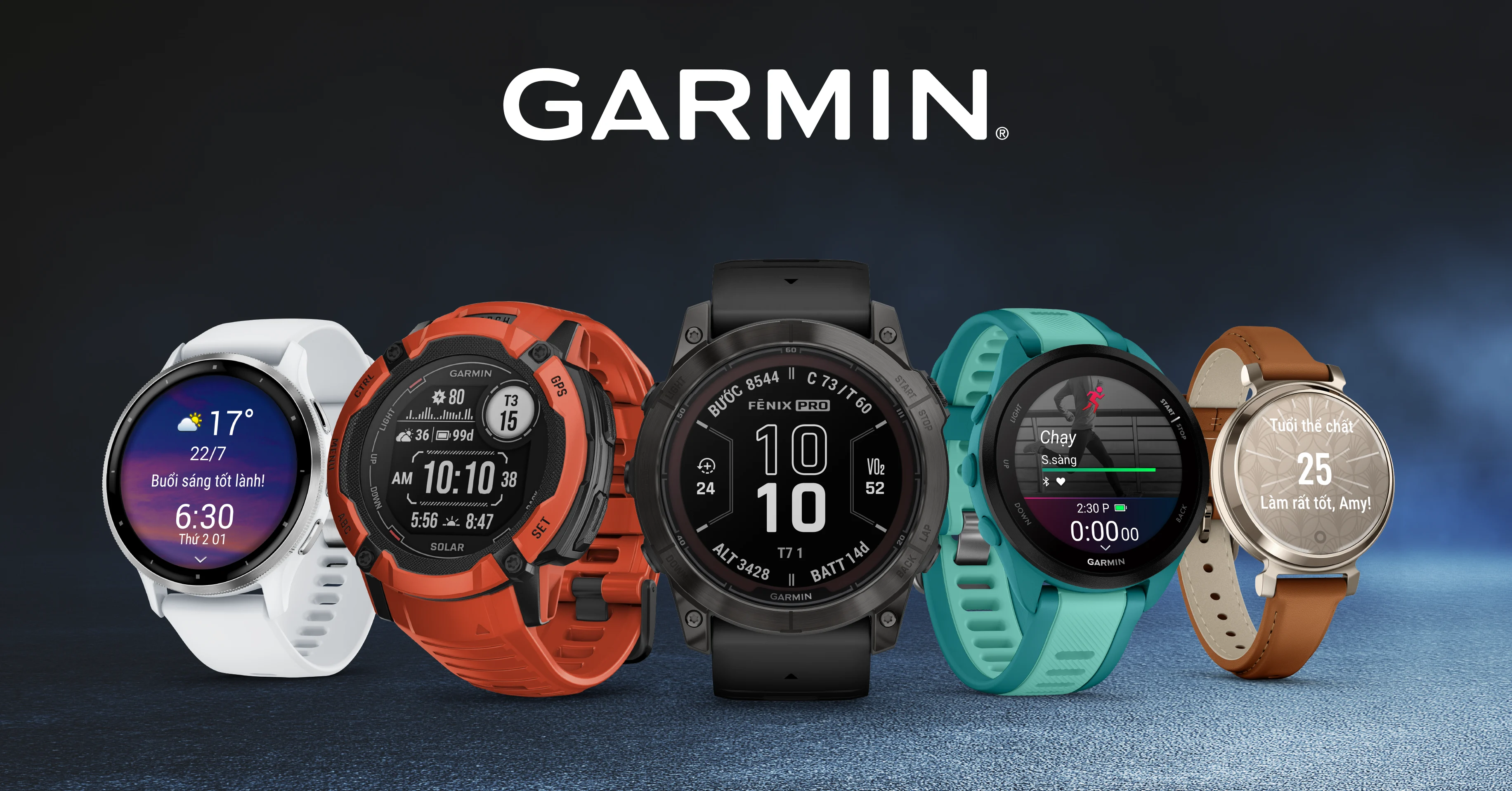 Garmin Việt Nam