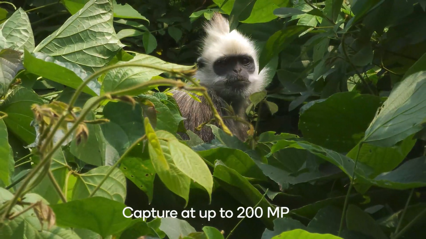 SnapCamera200.jpg