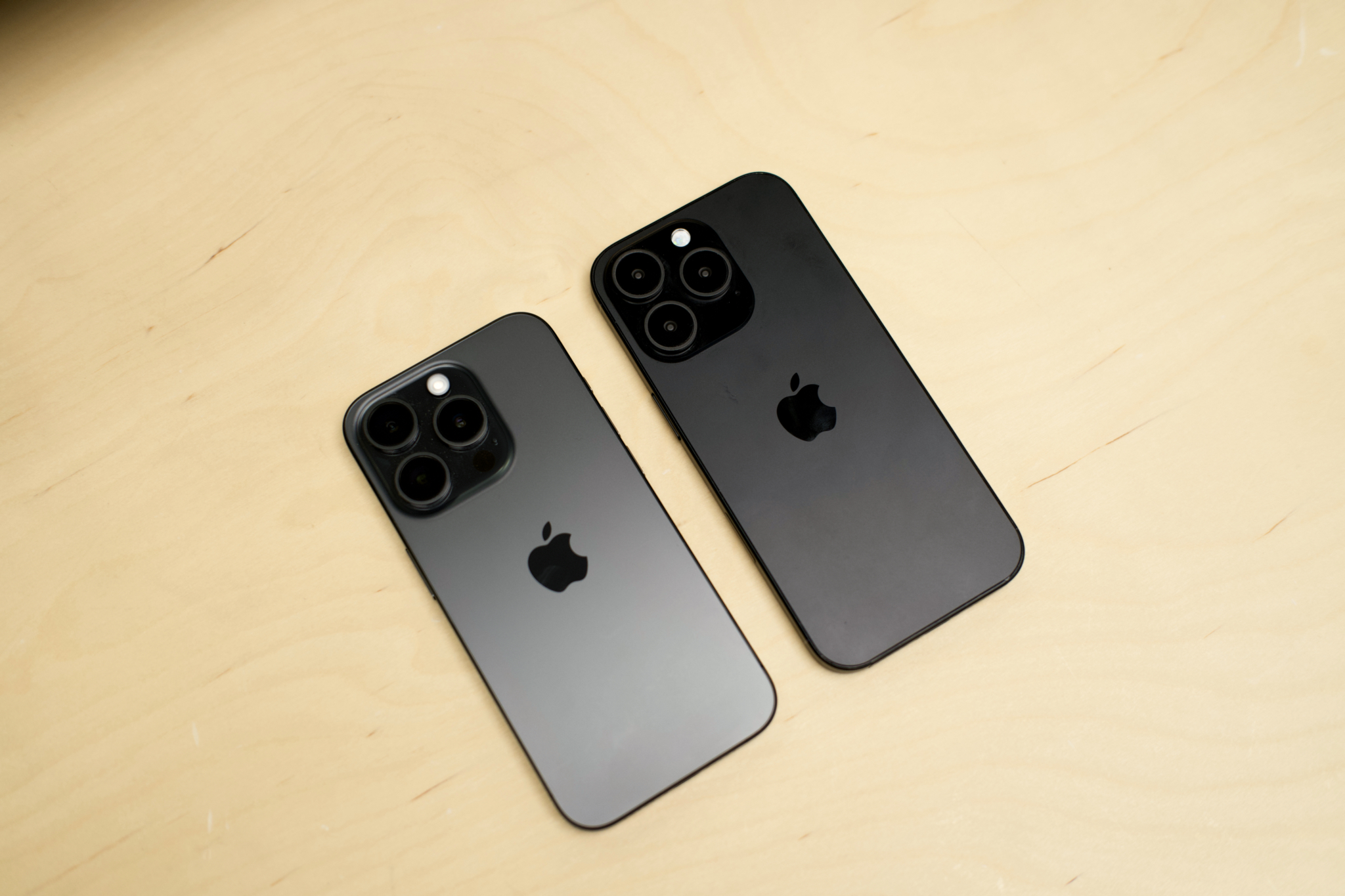 DSC-1000.jpg