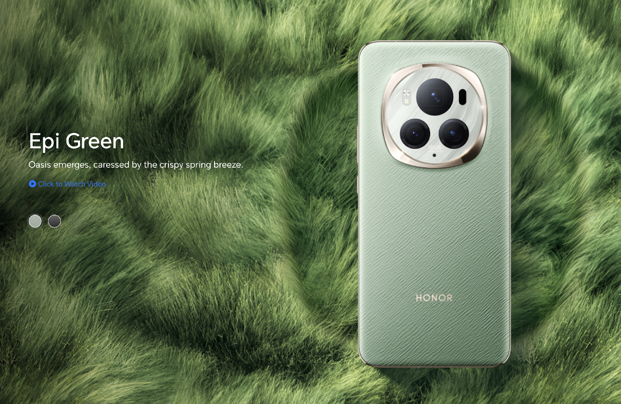 honor-magic6-pro-mau-xanh-la.jpeg