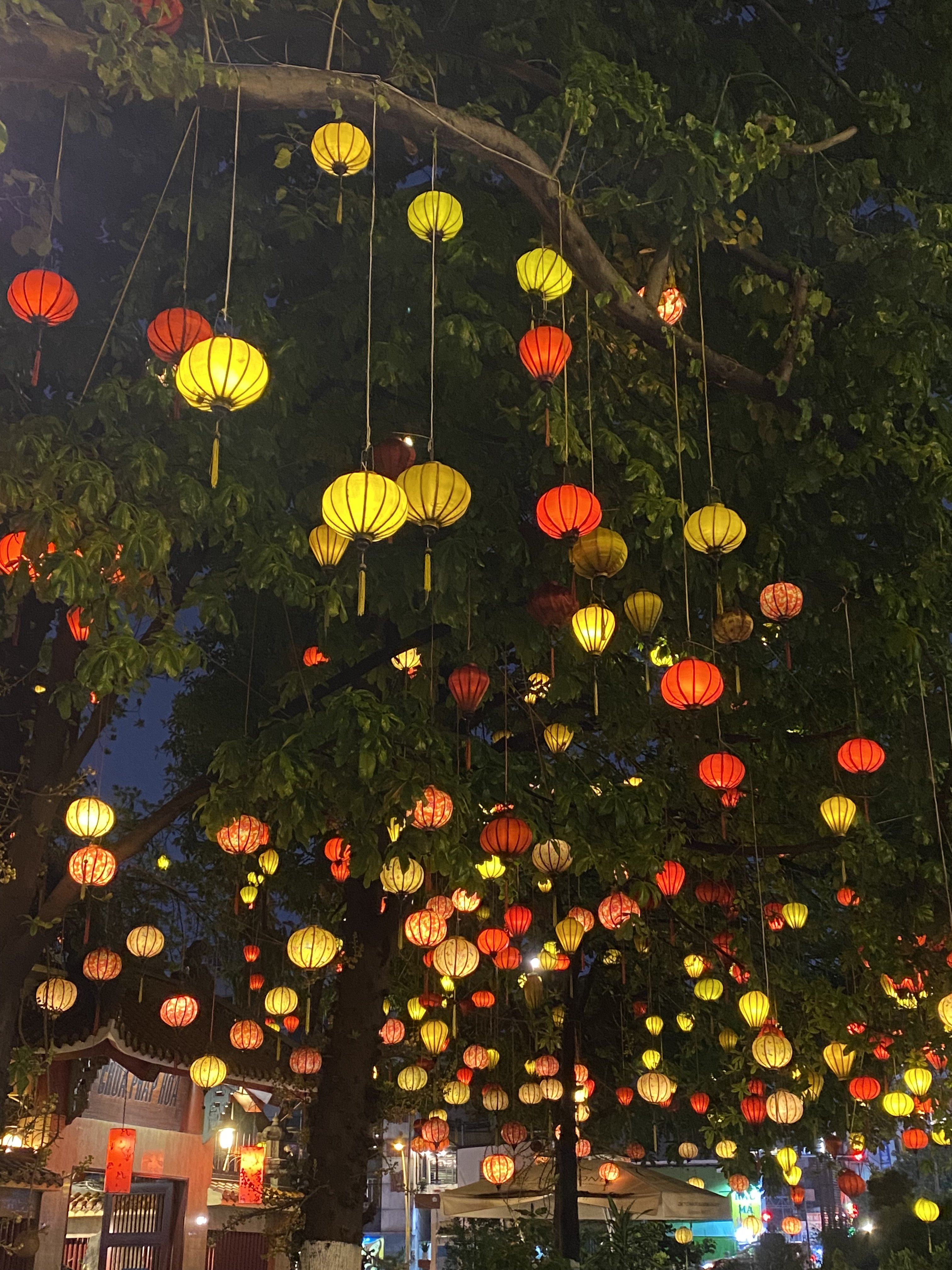 iPhone 11-camera-6.jpeg