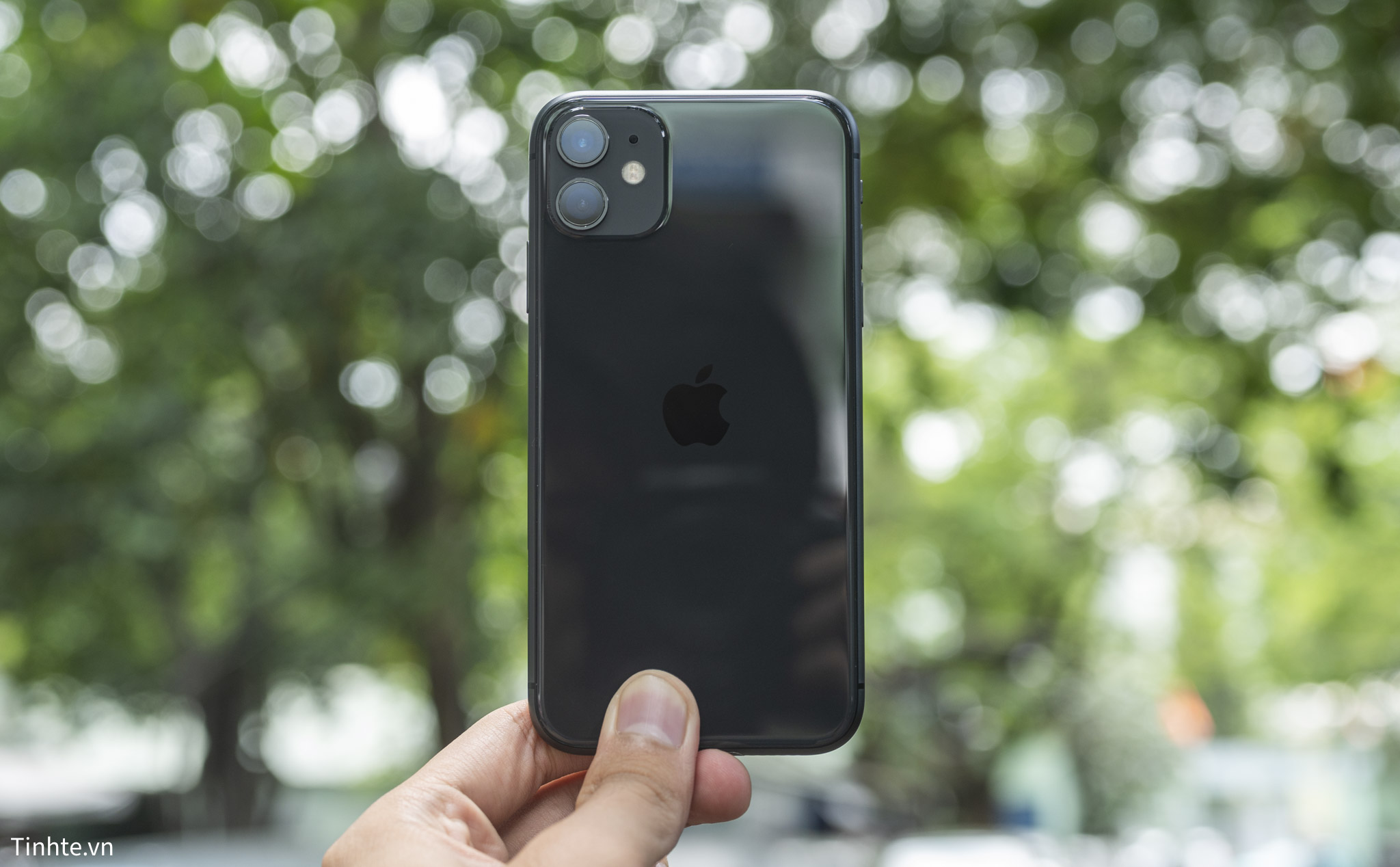 iPhone 11-19-2.jpg