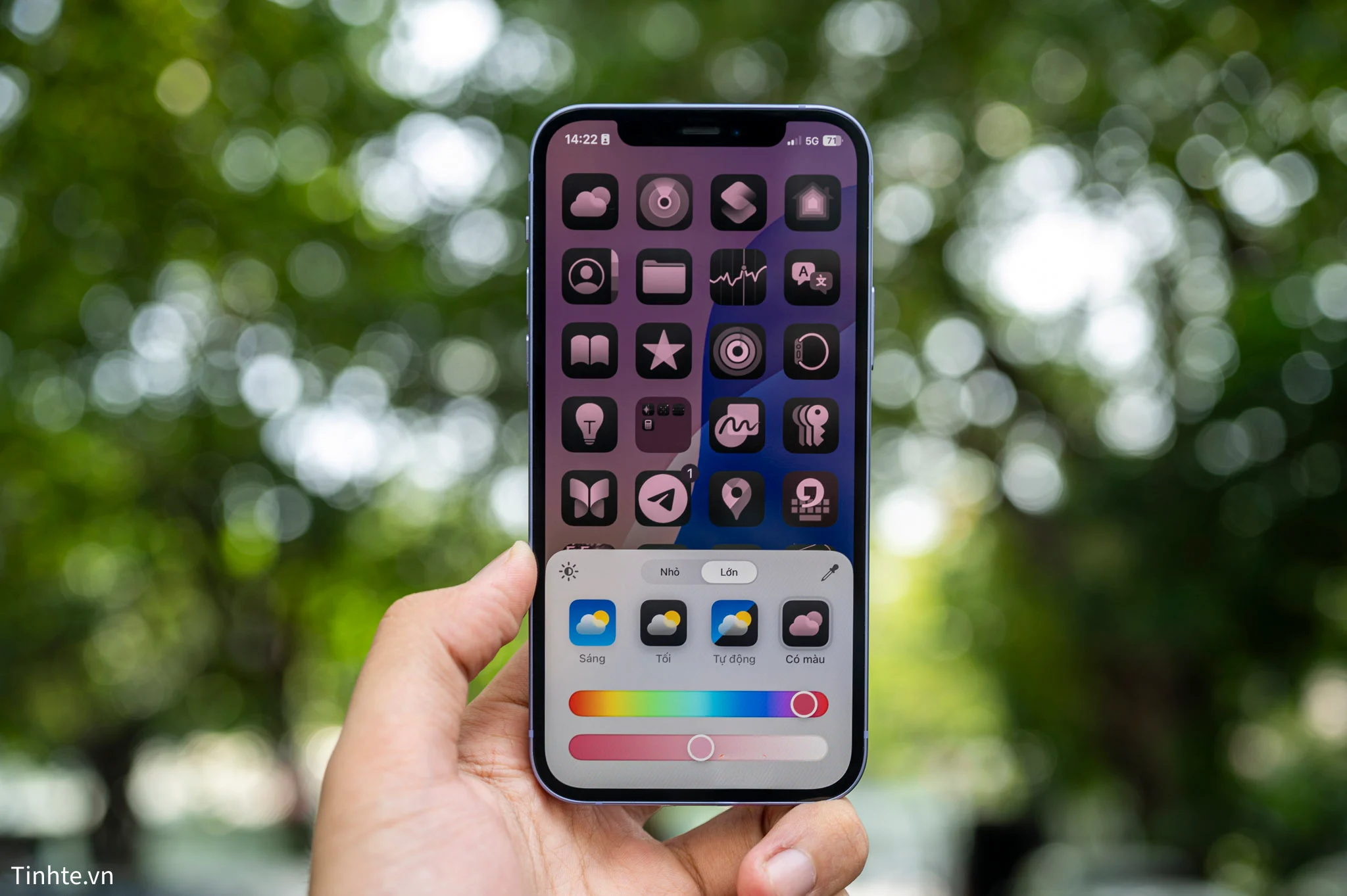 Apple-iPhone-12-49.webp