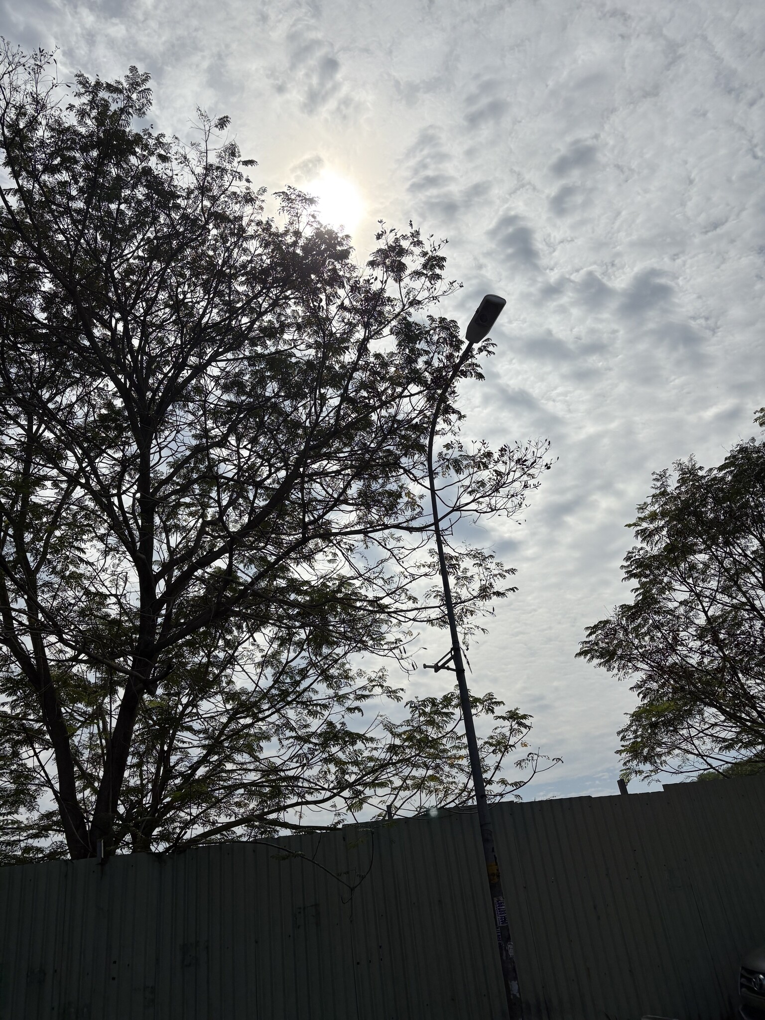 IMG-0032.jpeg