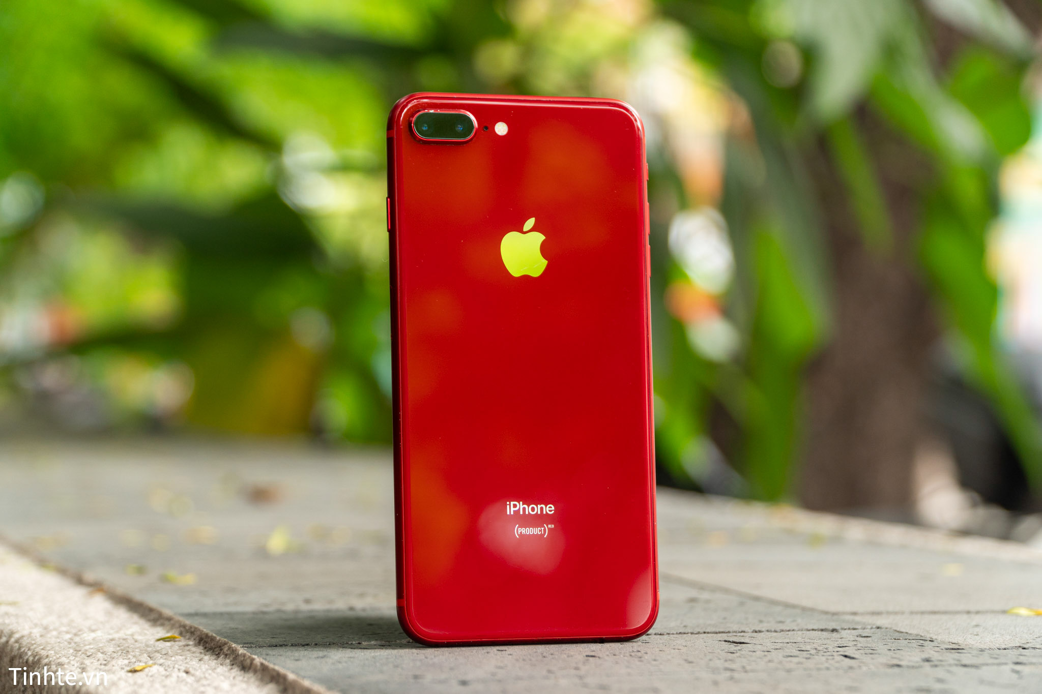 Tại sao mình vẫn sử dụng iPhone 8 Plus vào năm 2024?