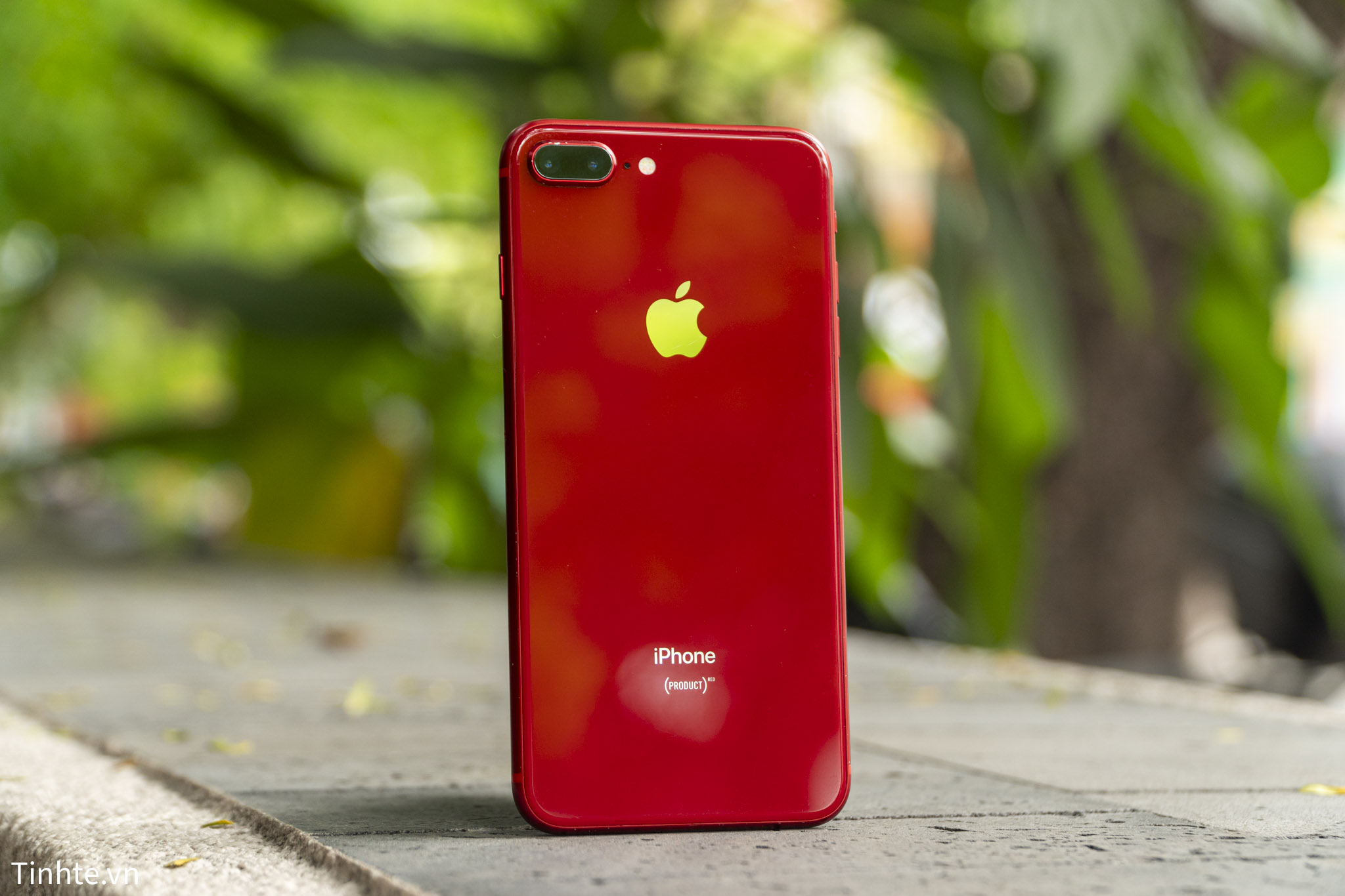 Apple iPhone 8 Plus-12 (1).jpg