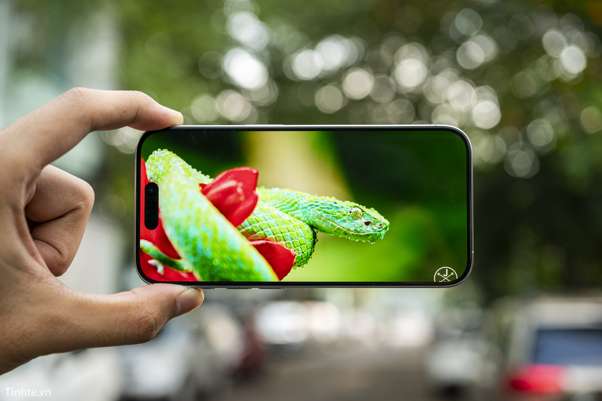 iPhone 15 Pro-31.jpg