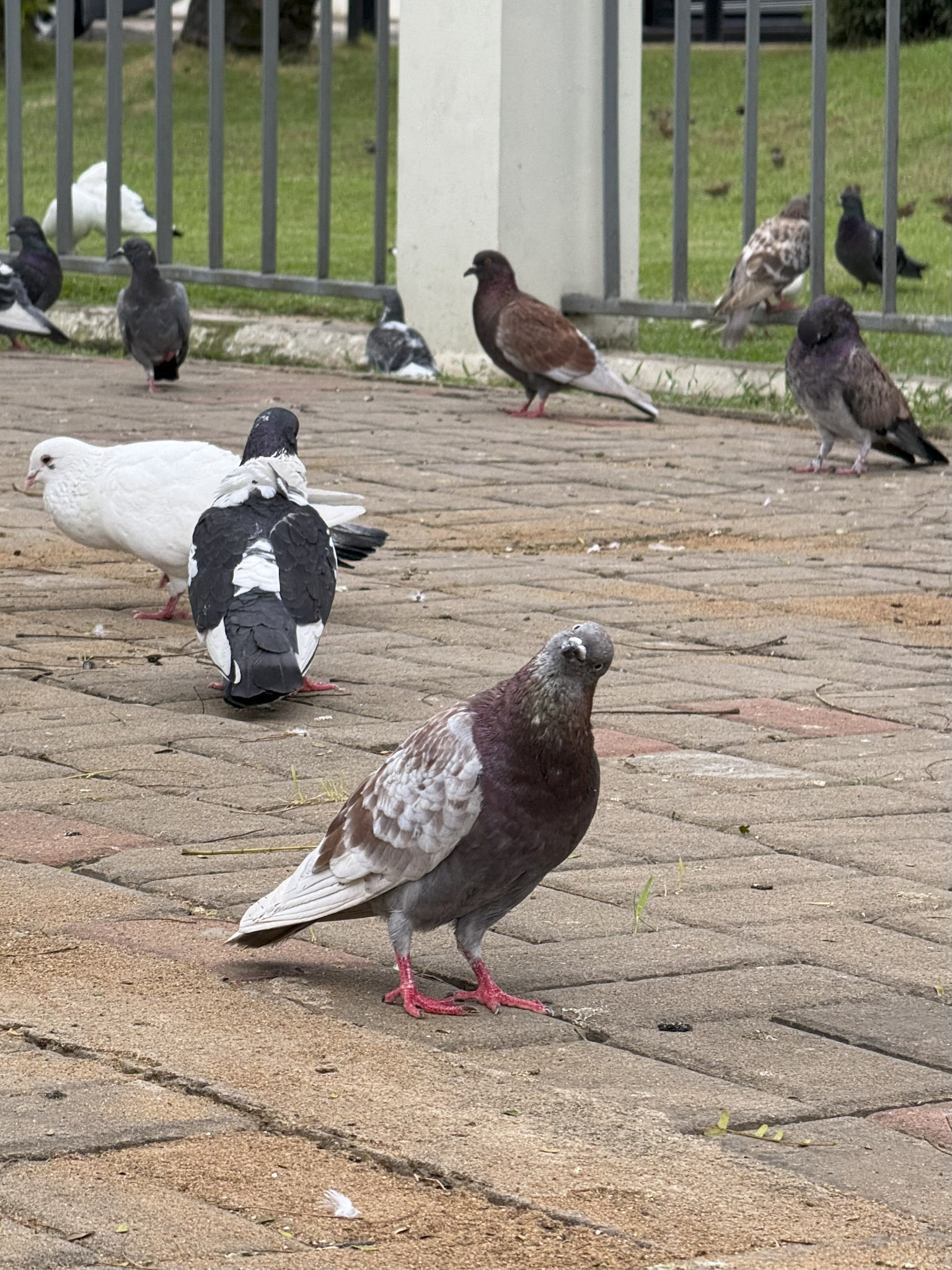 iPhone 15 Pro-camera-25.jpg