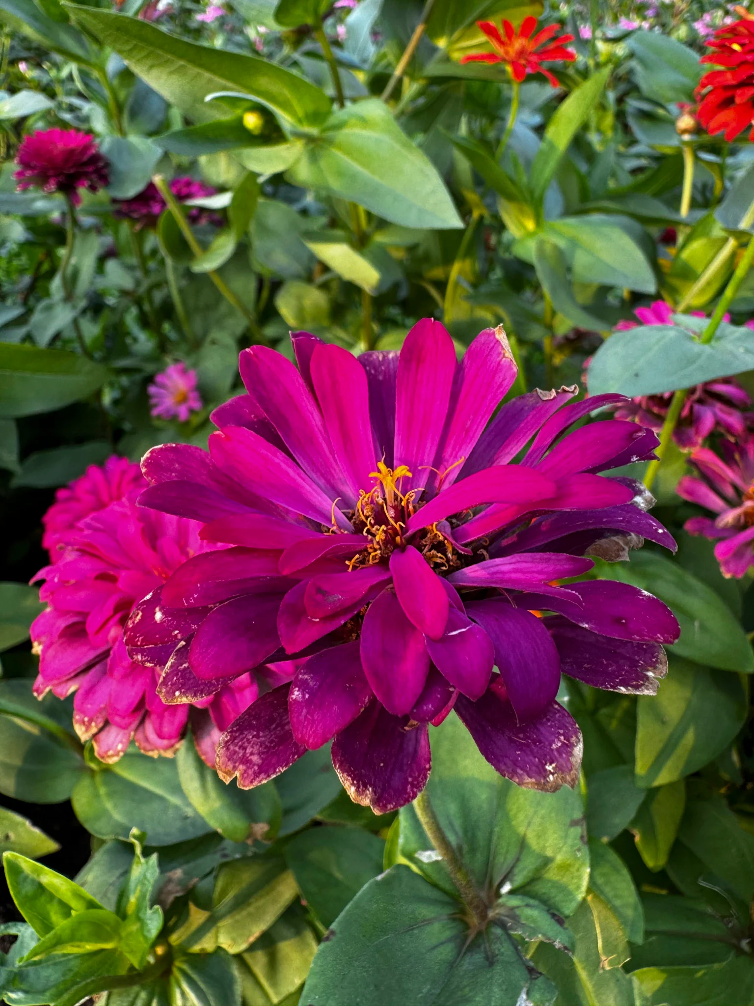 iPhone 15 Pro-camera-27.jpg