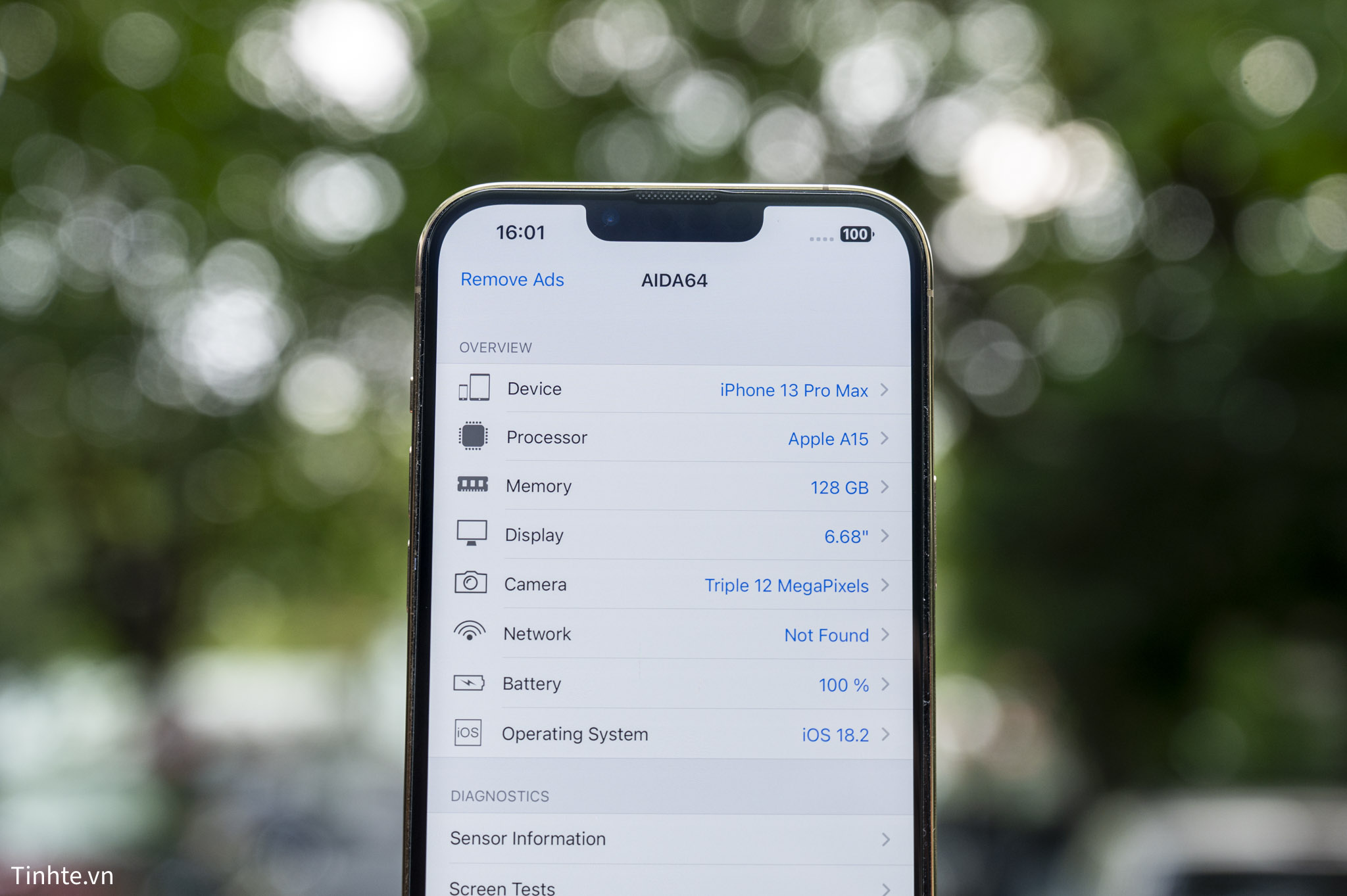 iPhone 13 Pro Max-6.jpg
