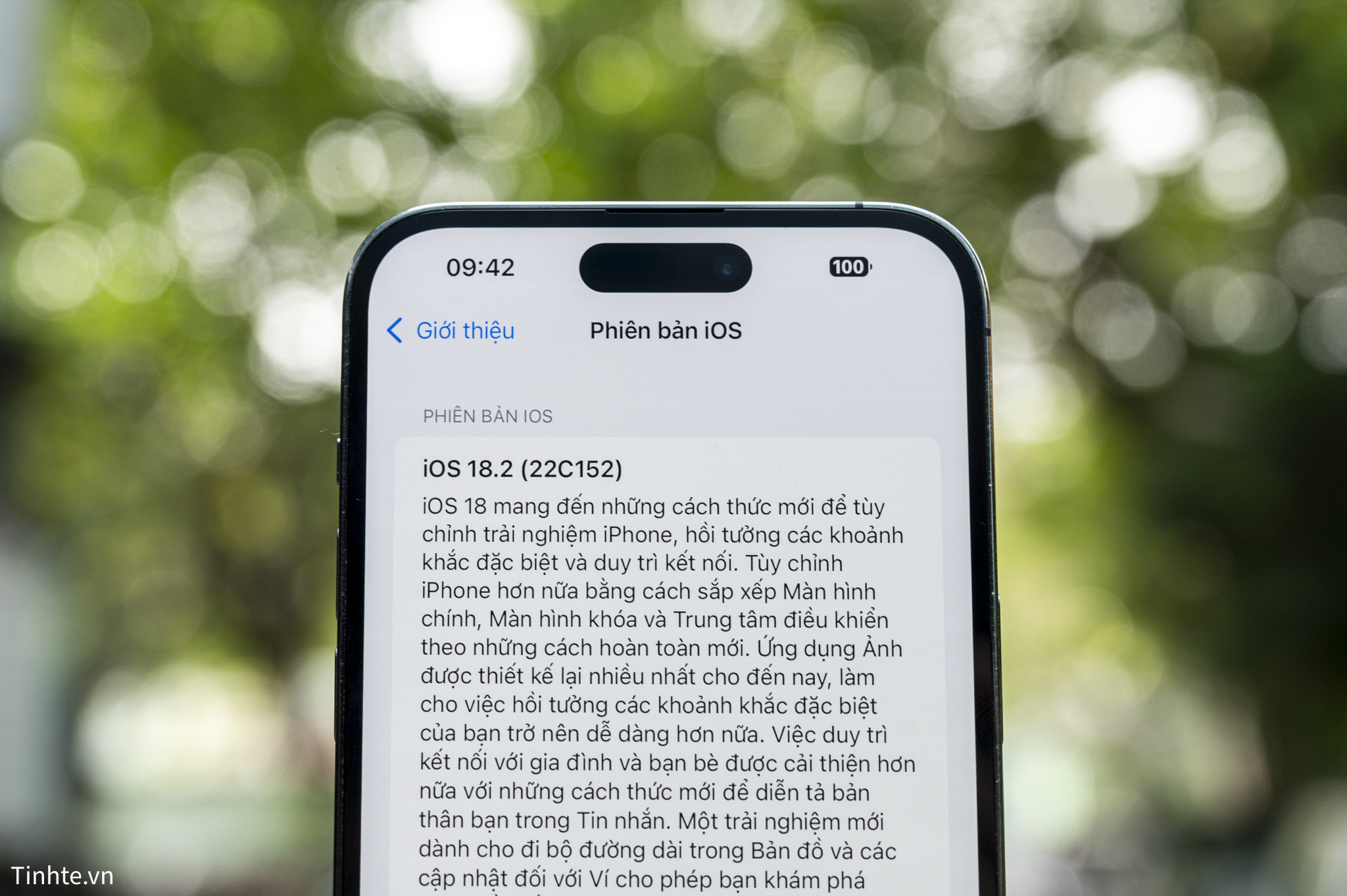 iPhone 14 Pro Max-05.jpg
