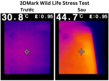 1.jpeg