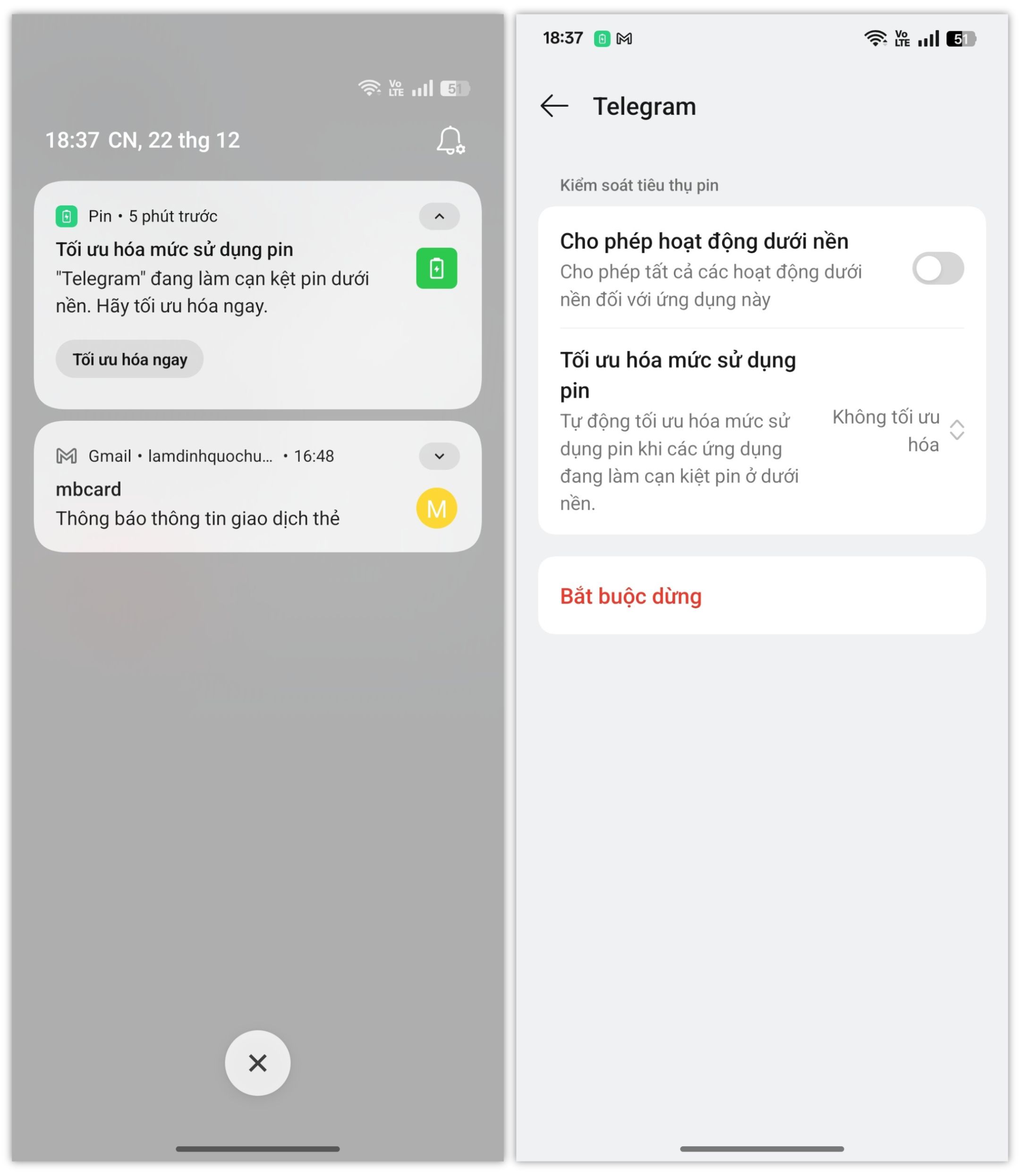 telegram-hao-pin.jpg