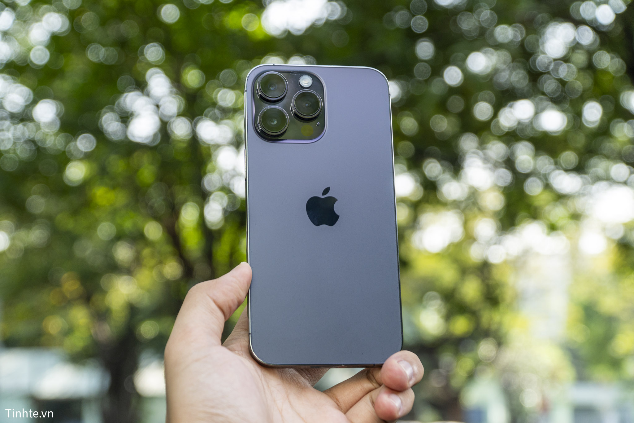 iPhone 14 Pro Max-04-2.jpg
