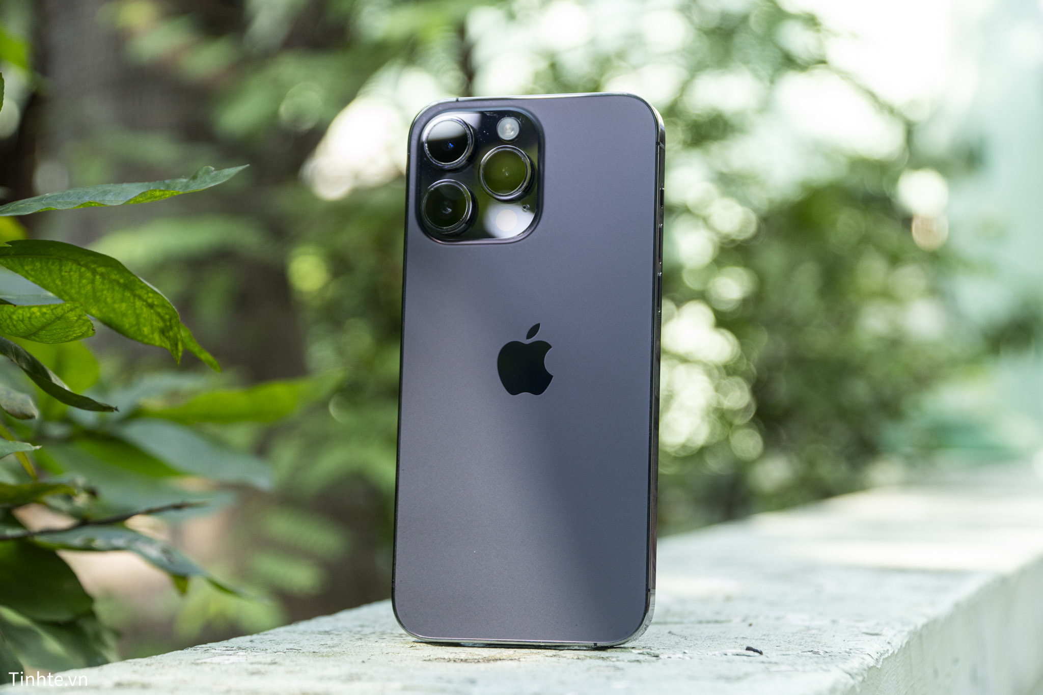 iPhone 14 Pro Max-01-2.jpg