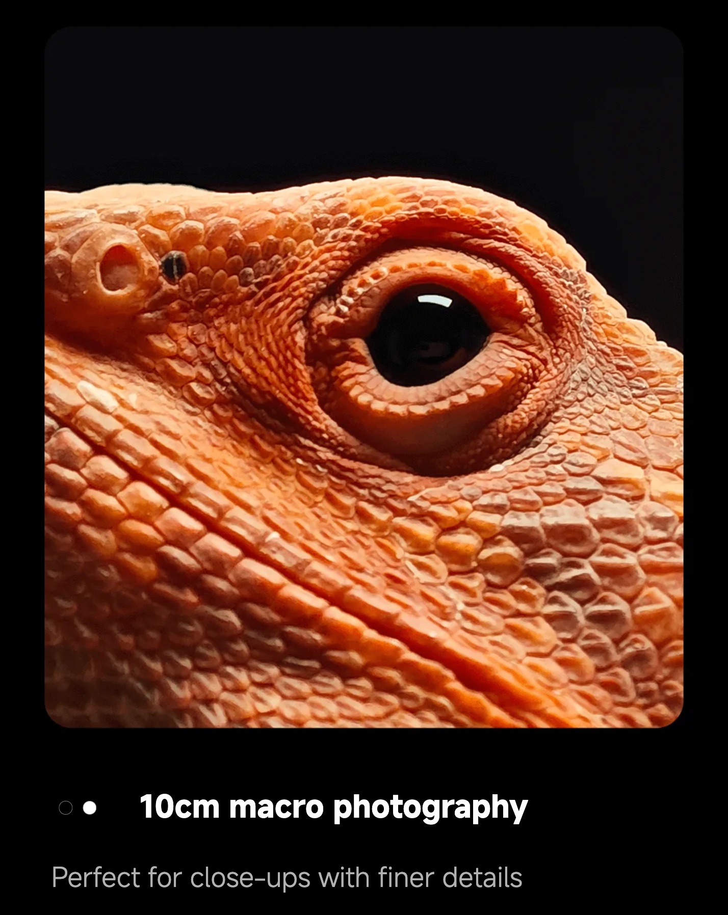 Xiaomi POCO F7 Ultra.camera.1.jpeg