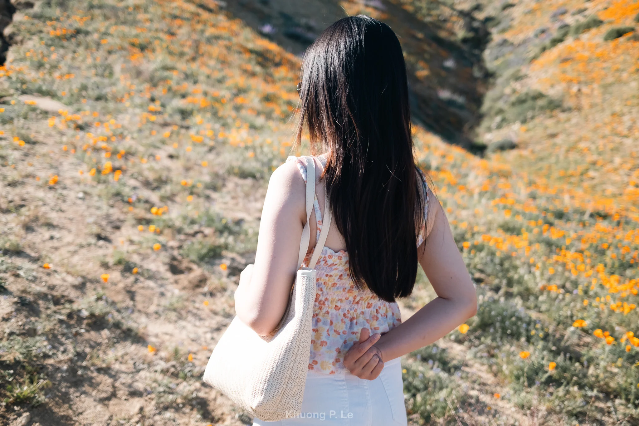 poppy-x100vi-03.jpg