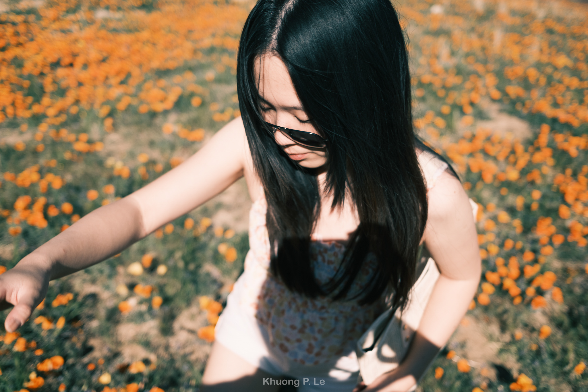 poppy-x100vi-06.jpg
