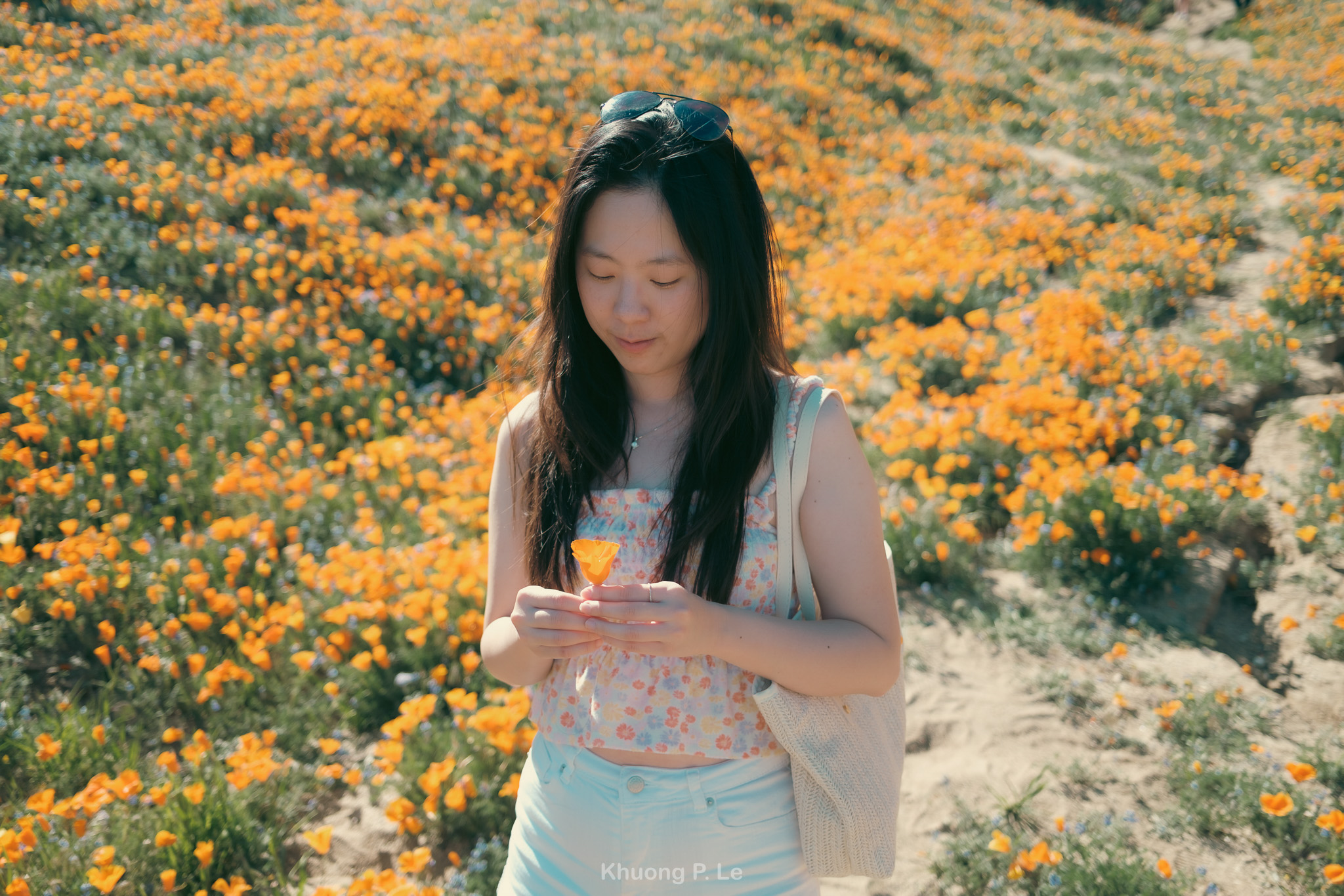 poppy-x100vi-04.jpg