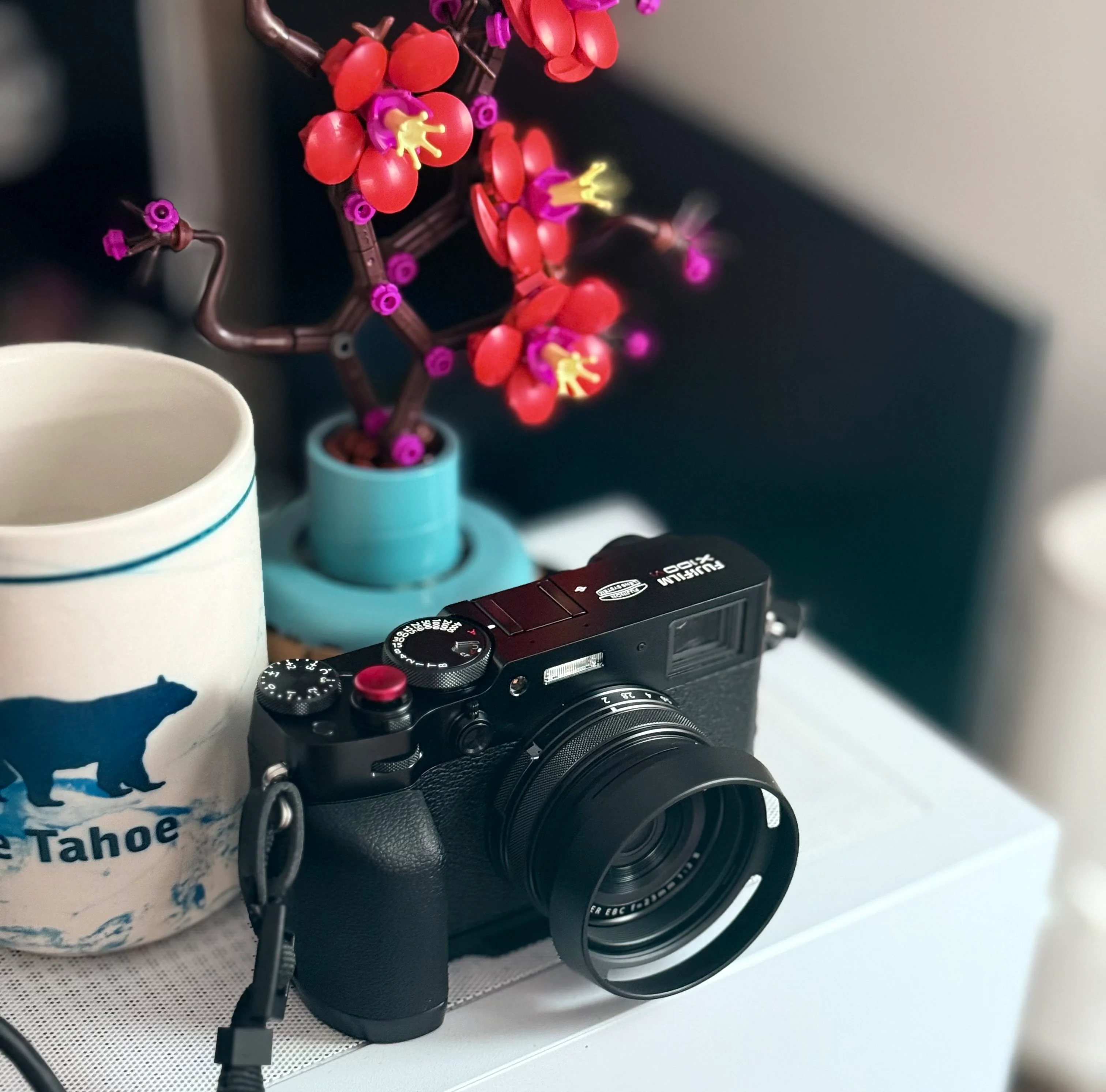 x100vi-2.jpg