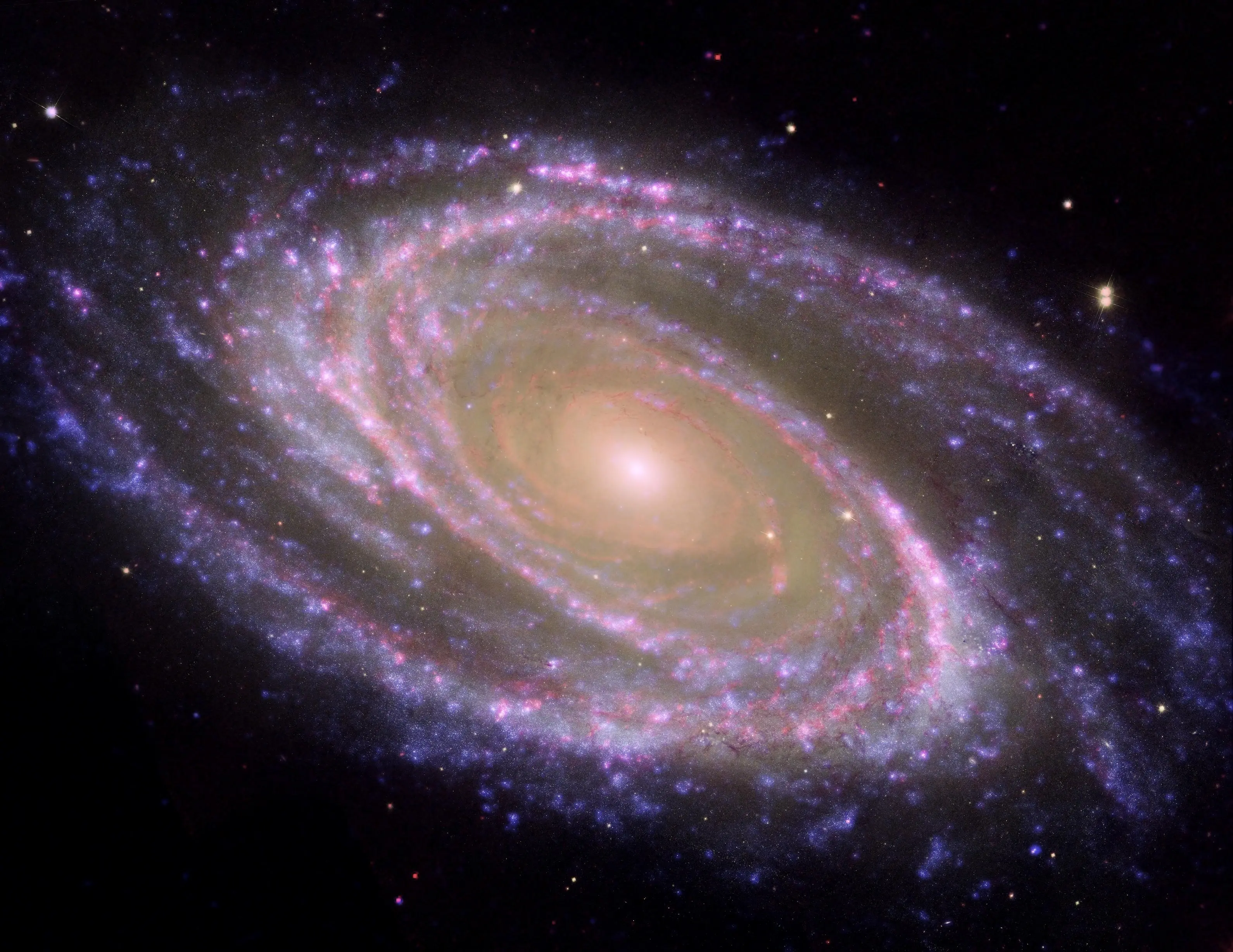 Ảnh chụp Messier 81, thiên hà xoắn ốc có màu hồng