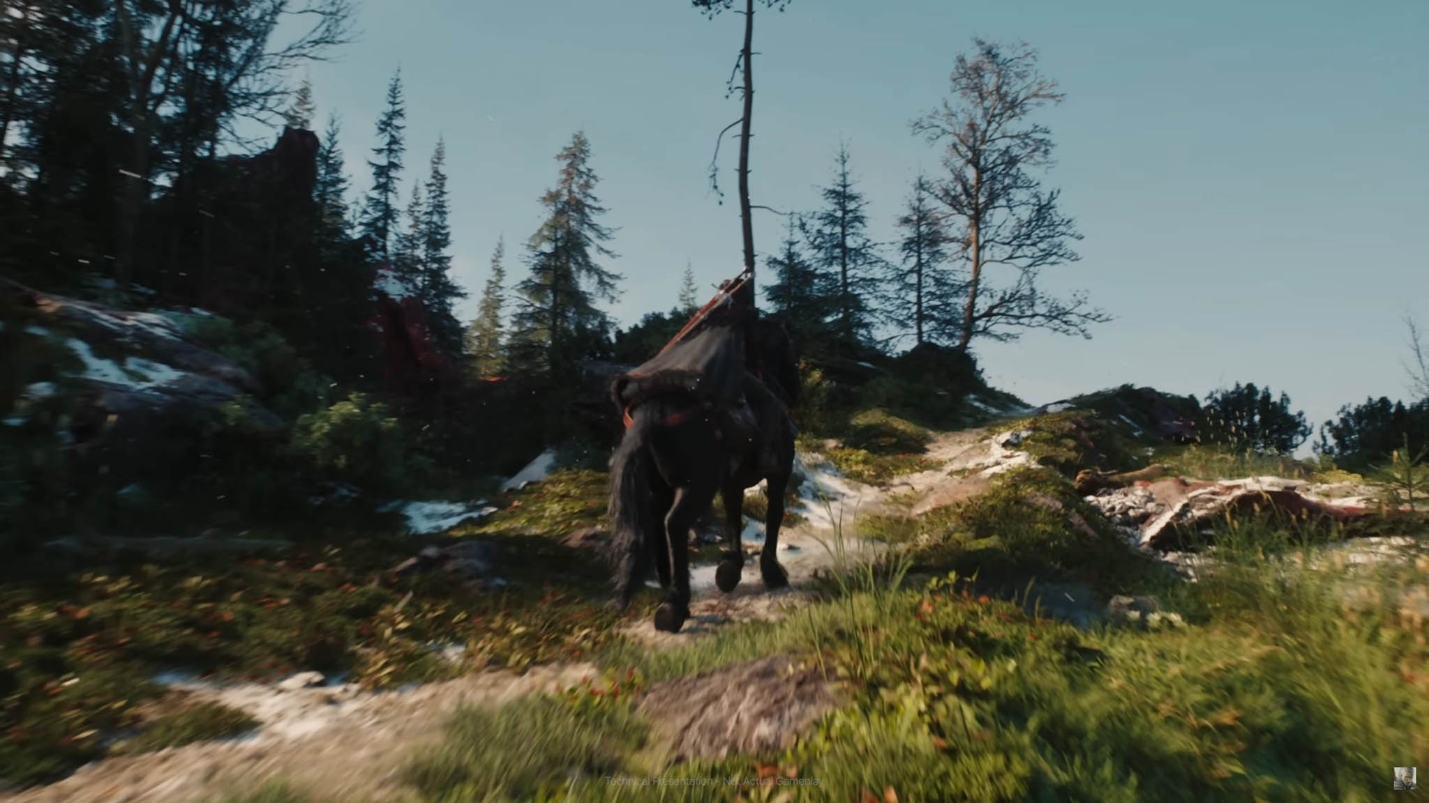 Screenshot (91).jpg