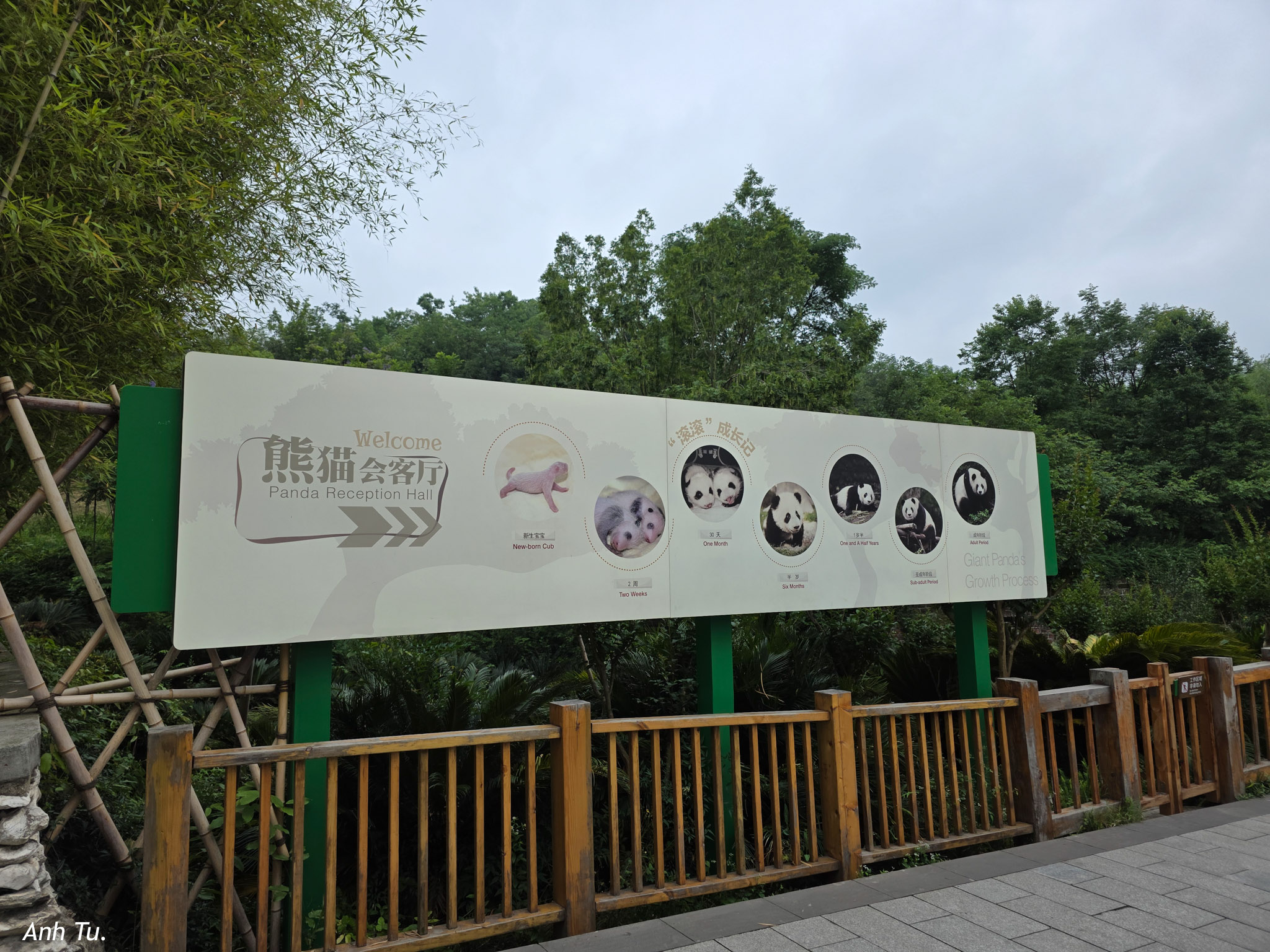 20250530-121015.jpg