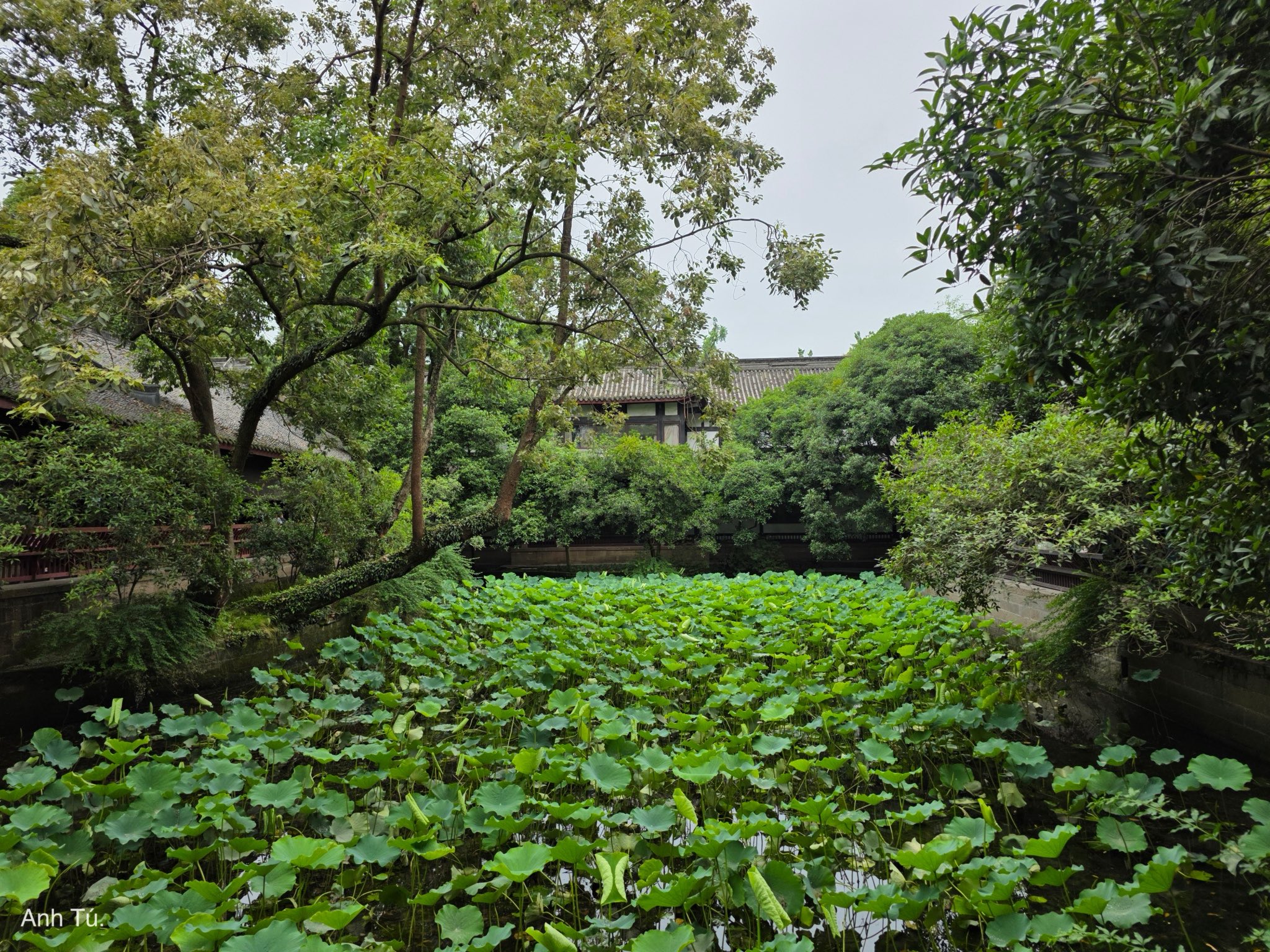 20250531-113358.jpg