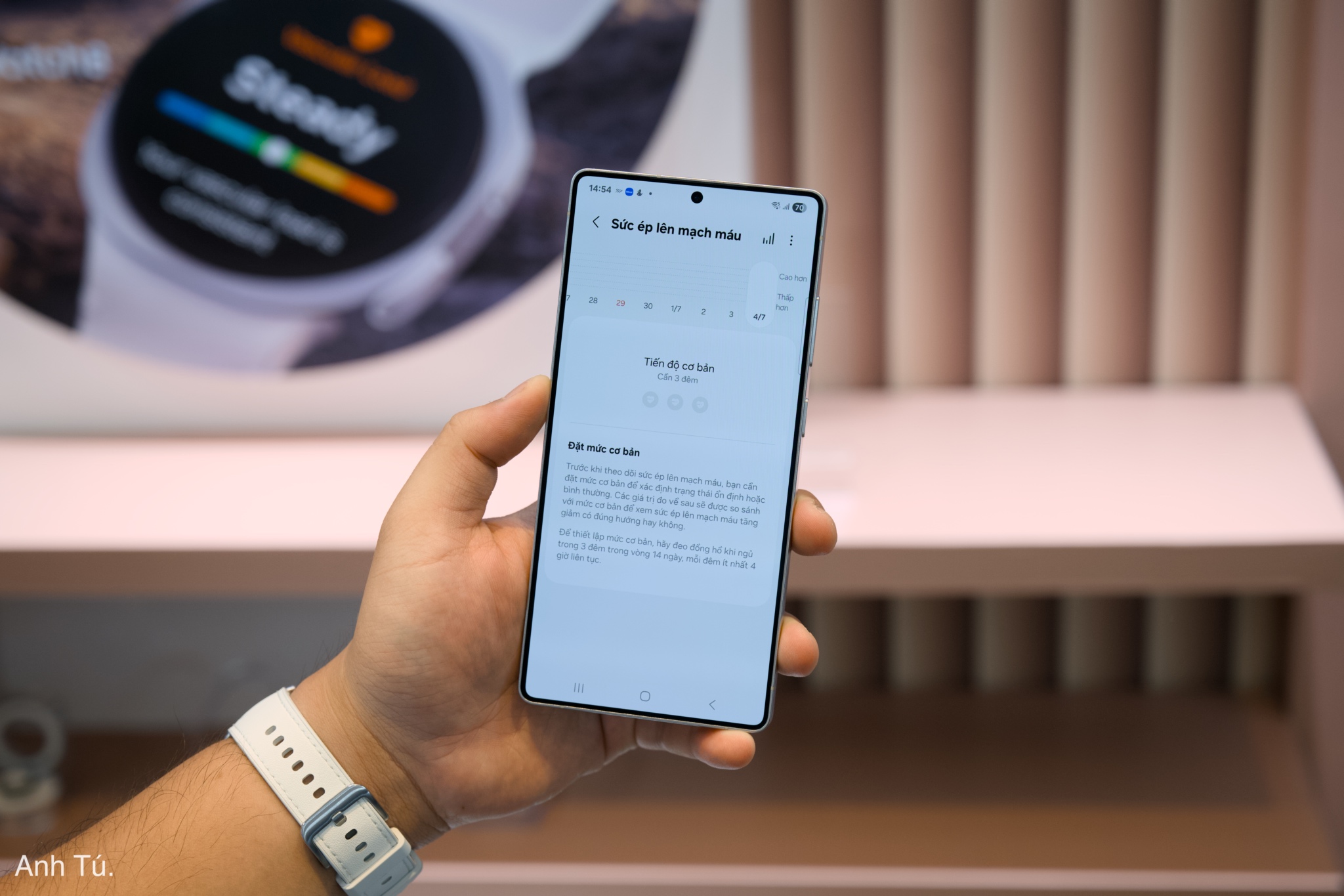 DSC-2157.jpg